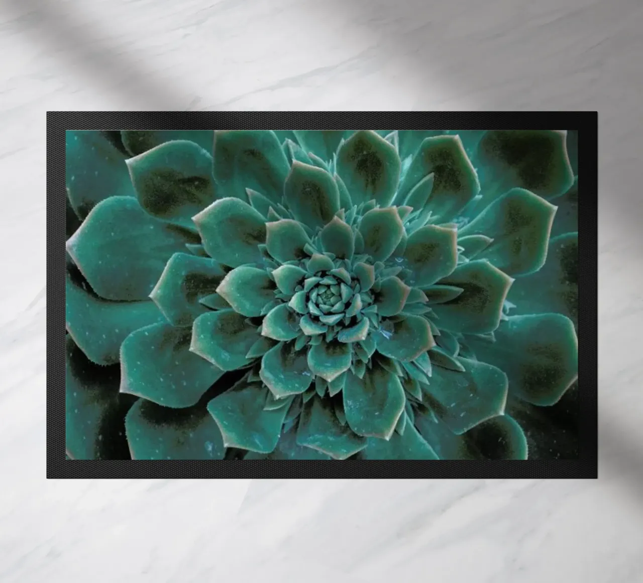 Succulent zerbino da Victoria Frost