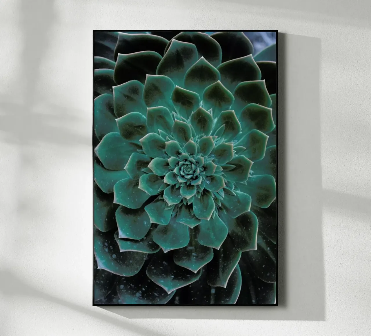 Succulent plexiglass da Victoria Frost