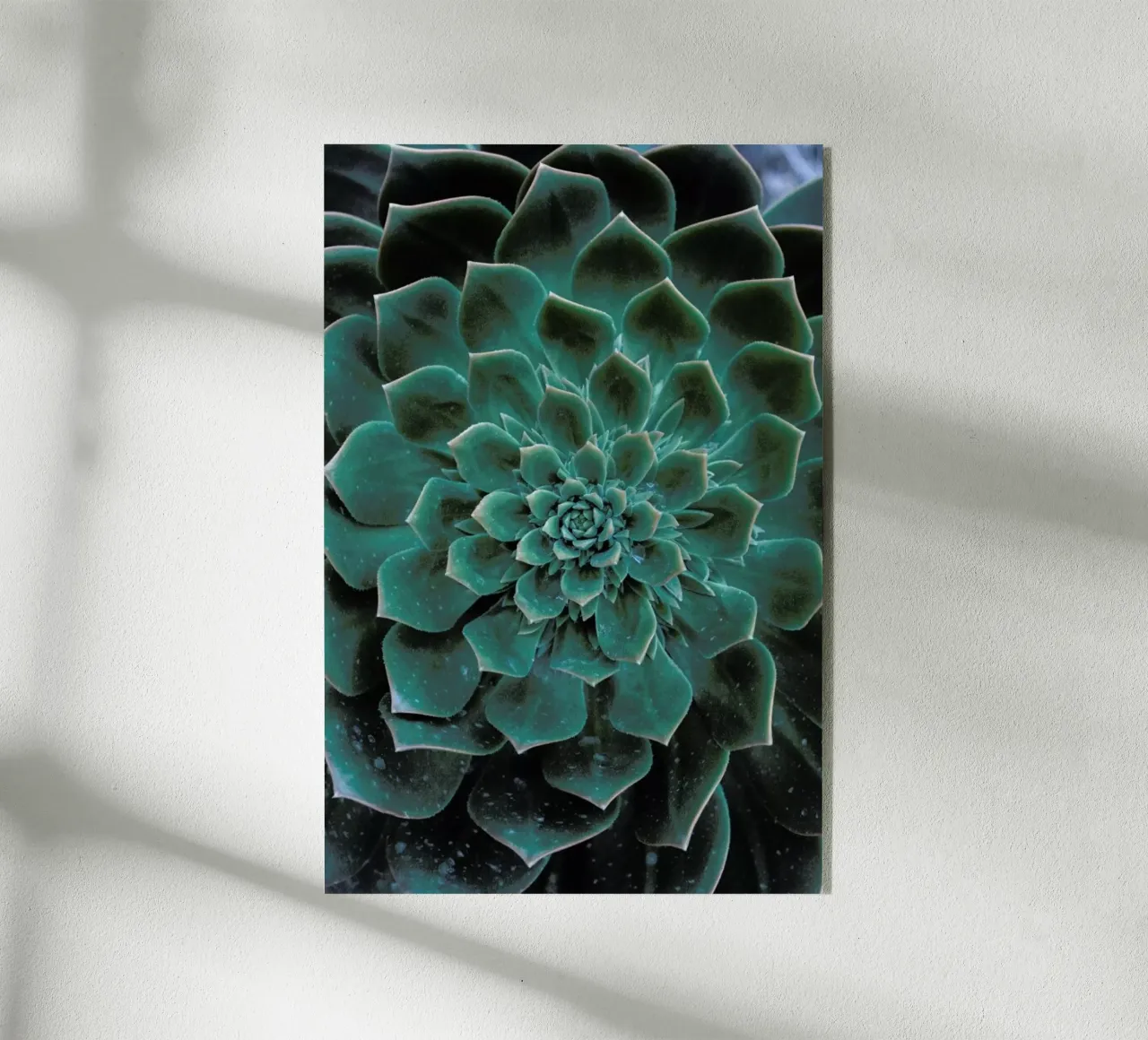 Succulent plexiglass da Victoria Frost