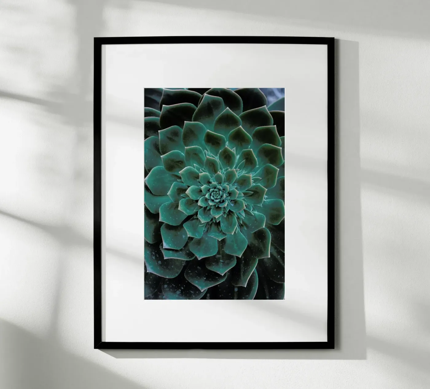 Succulent poster van Victoria Frost