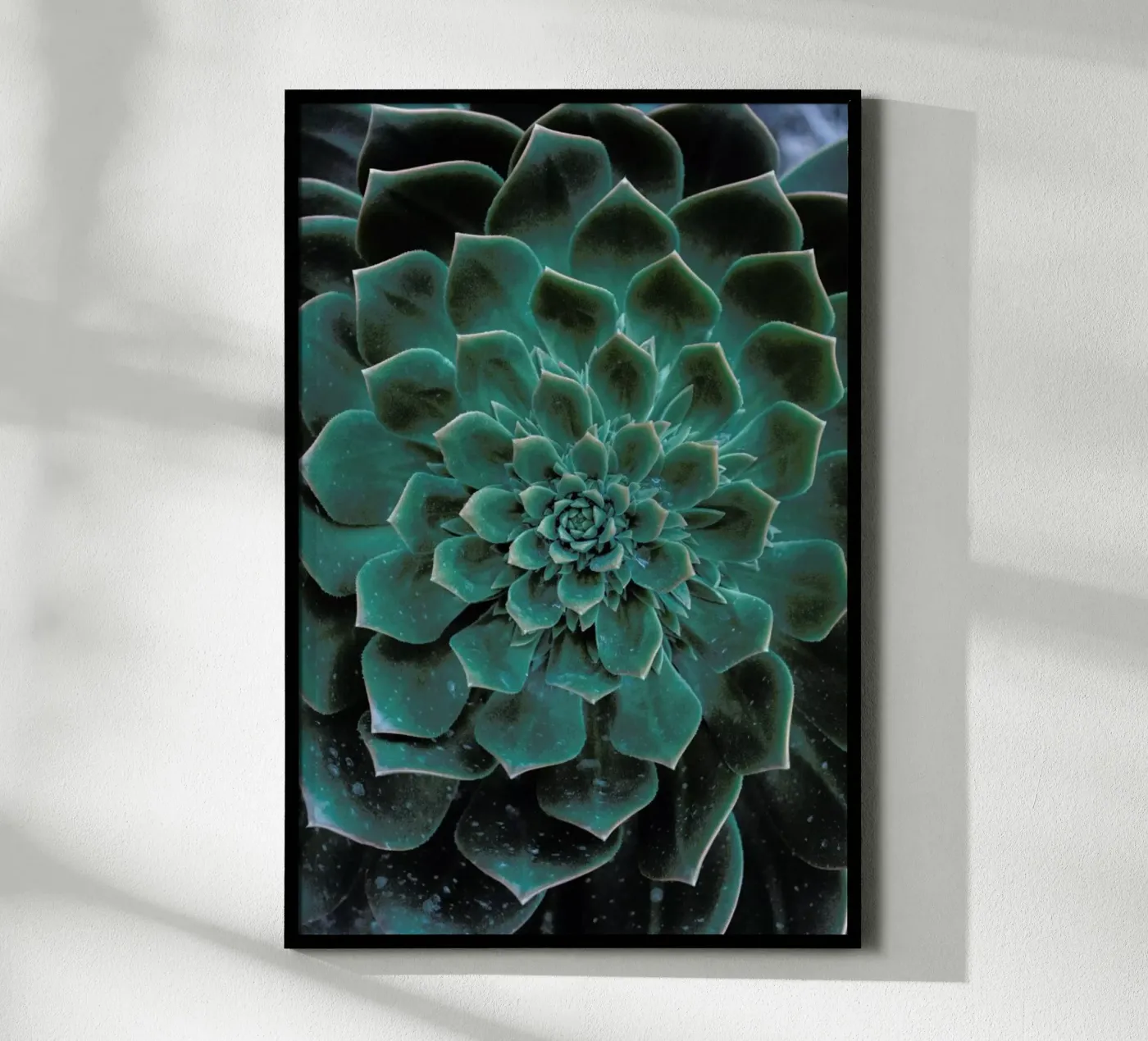 Succulent poster van Victoria Frost