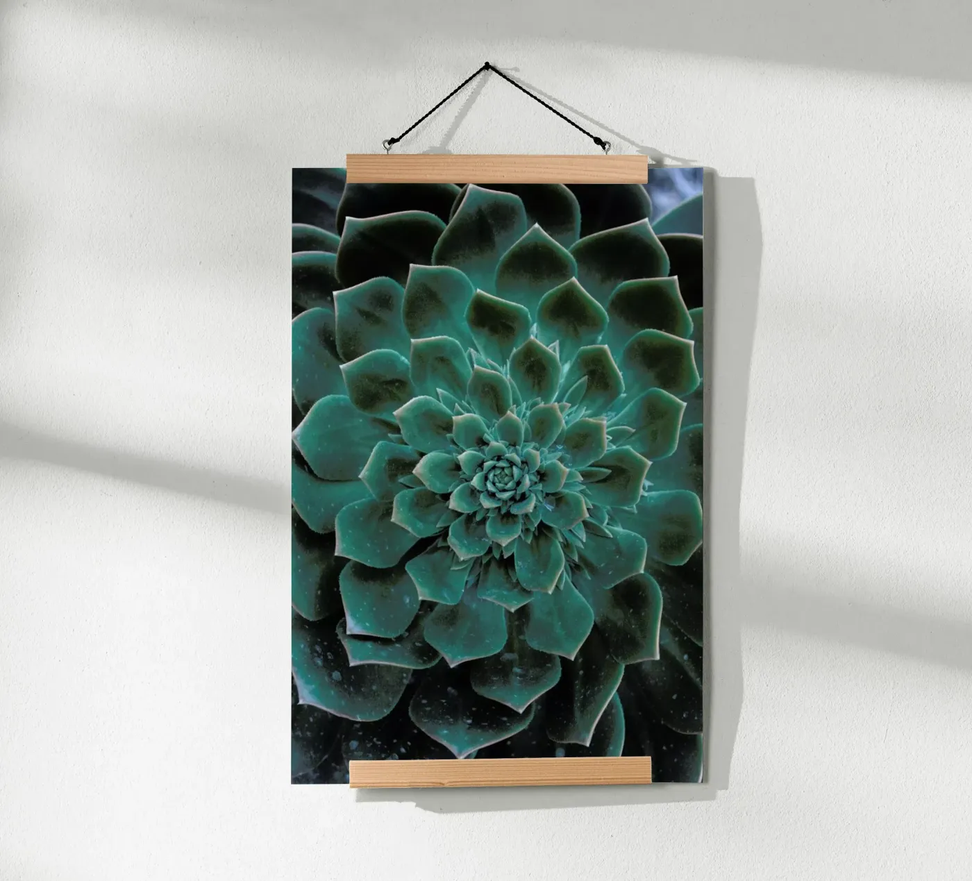 Succulent poster van Victoria Frost