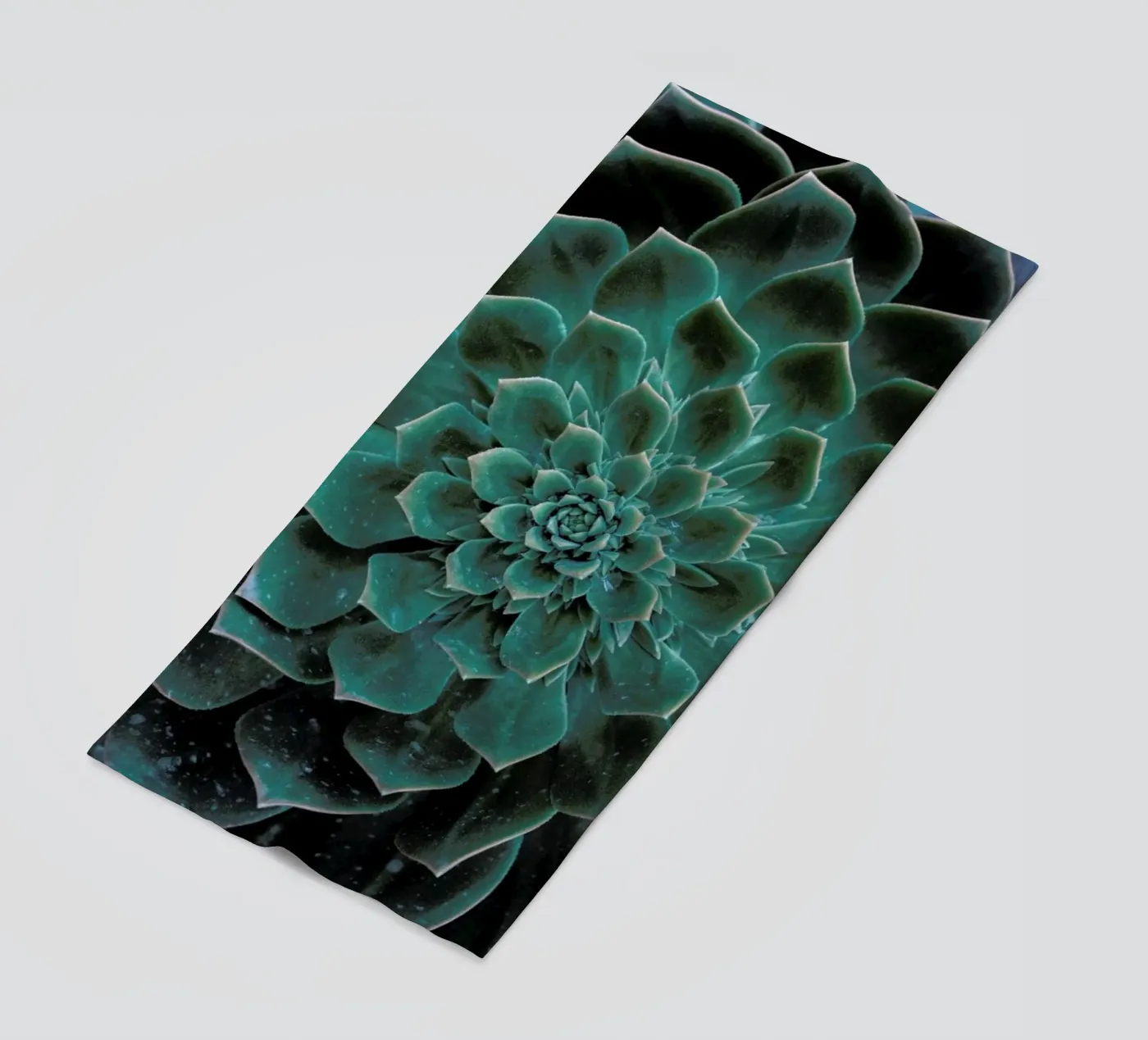 Succulent telo mare da Victoria Frost