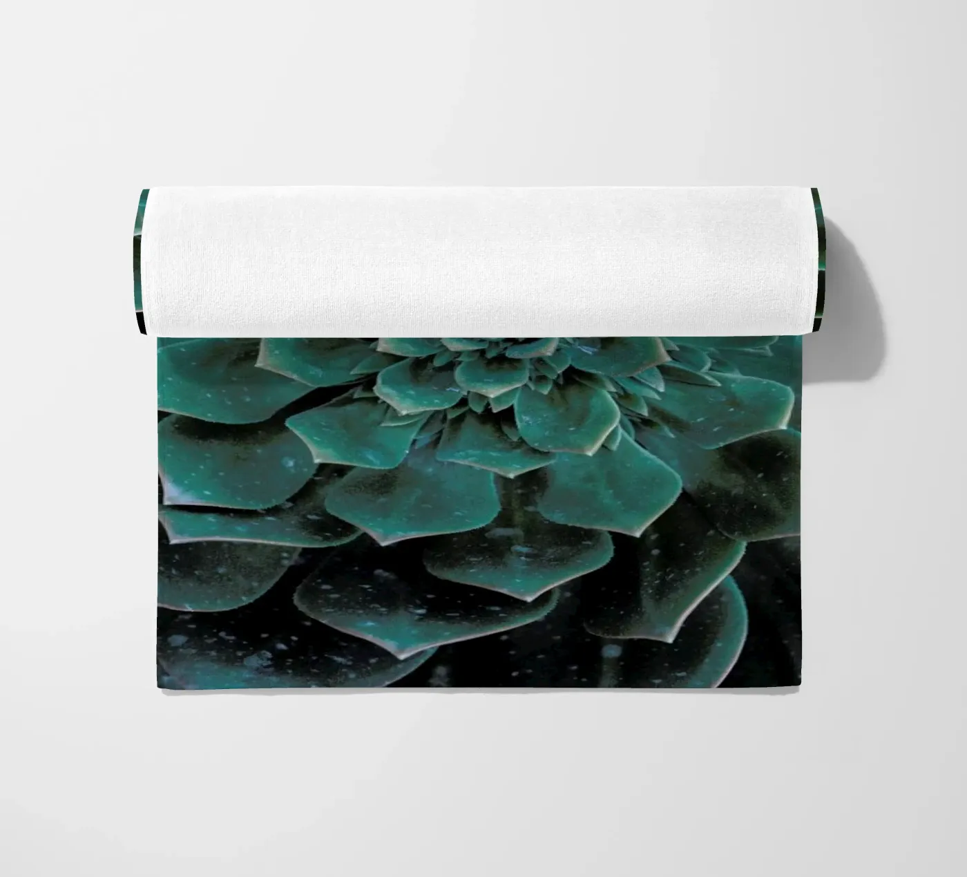 Succulent telo mare da Victoria Frost