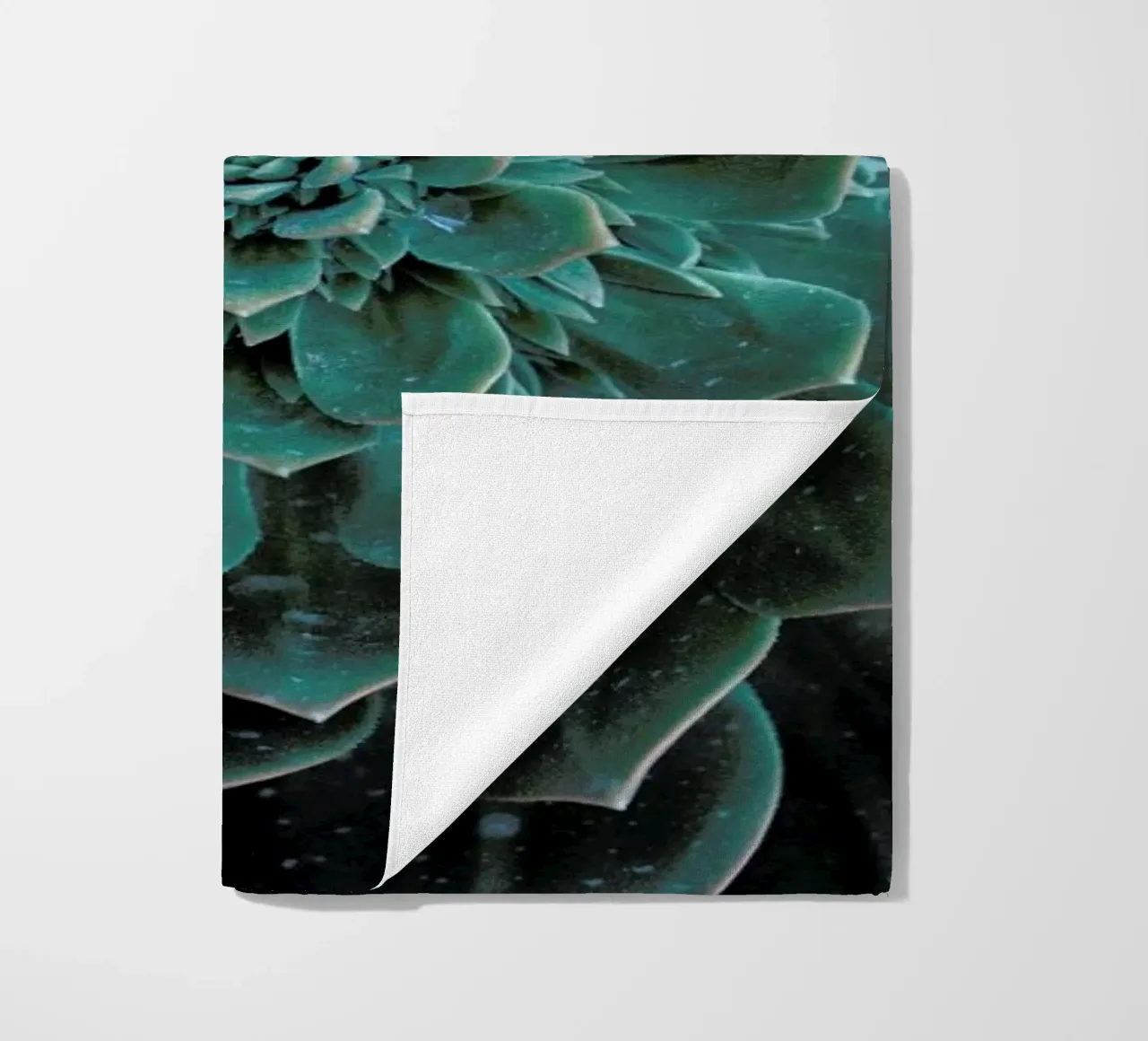 Succulent telo mare da Victoria Frost