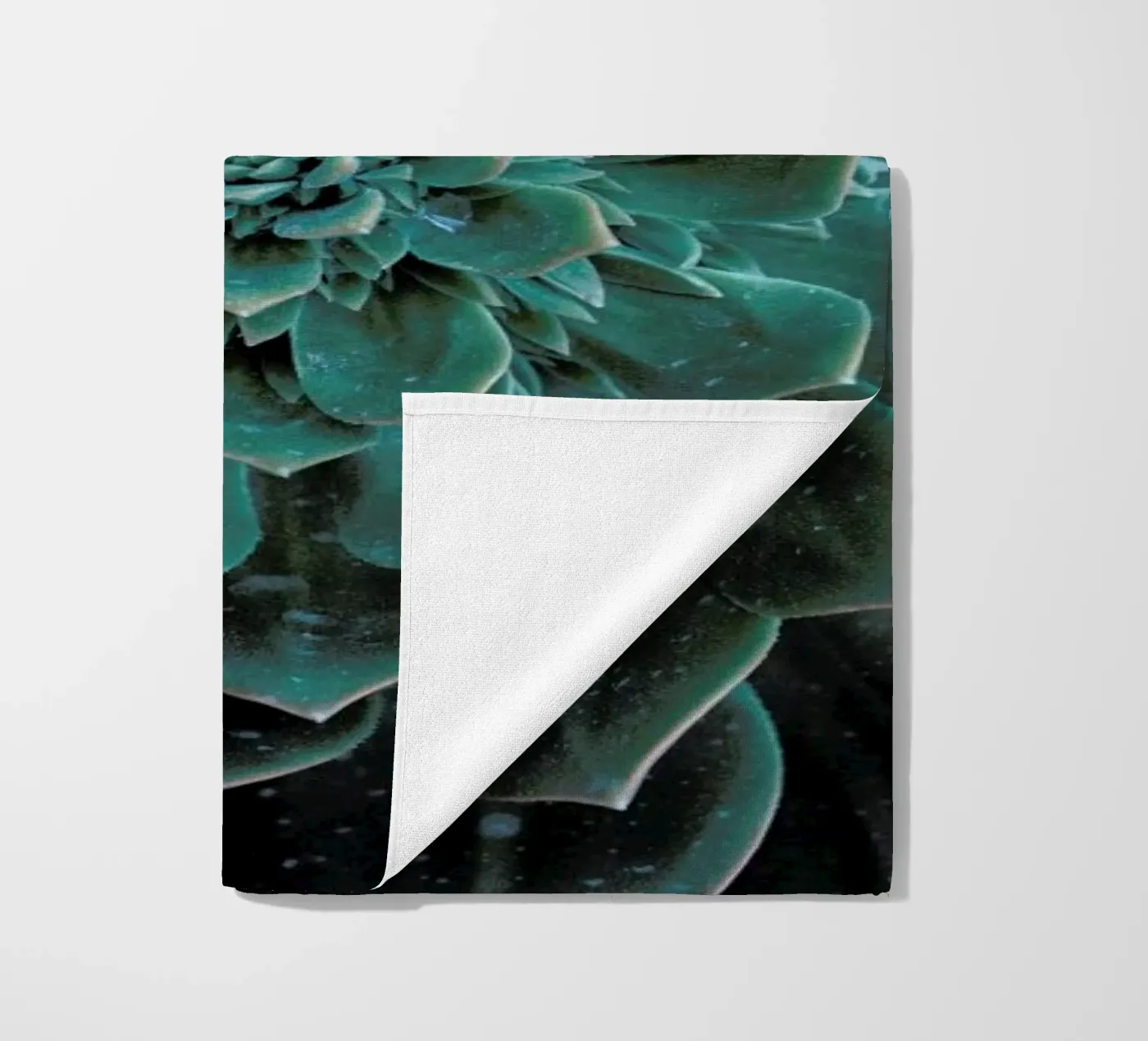 Succulent telo mare da Victoria Frost