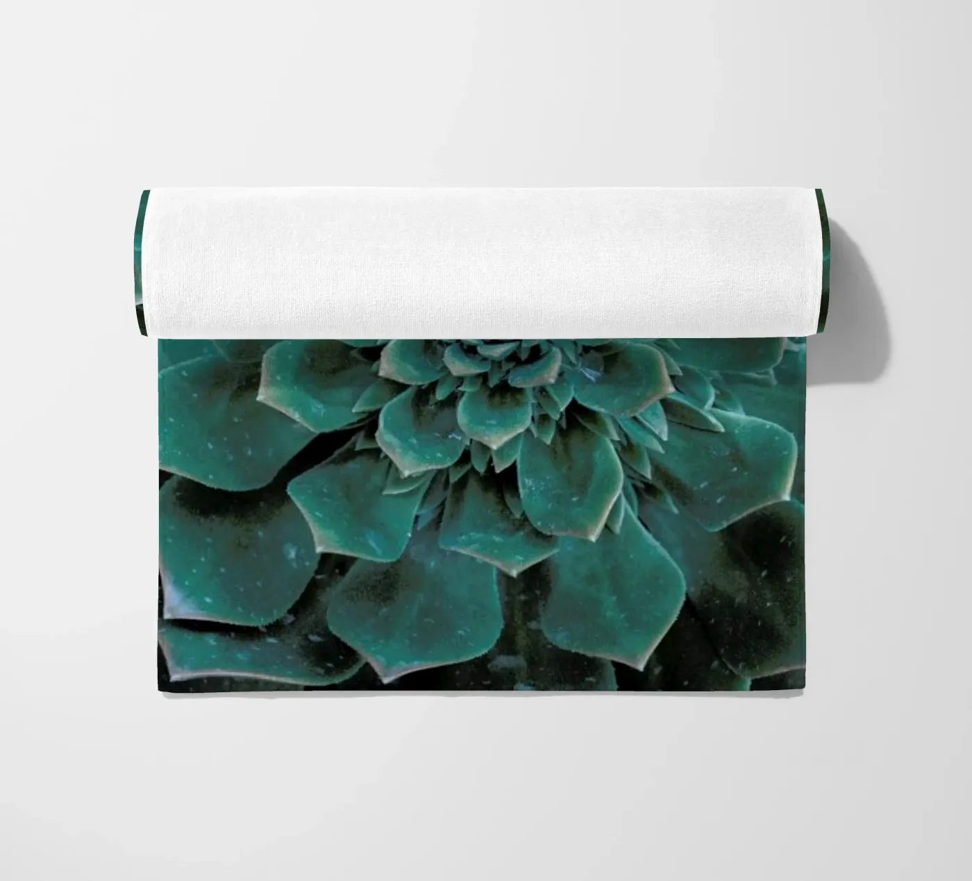 Succulent telo mare da Victoria Frost