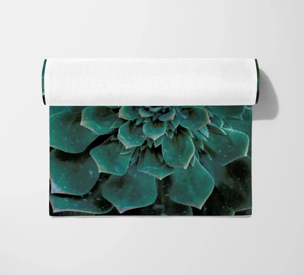 Succulent telo mare da Victoria Frost