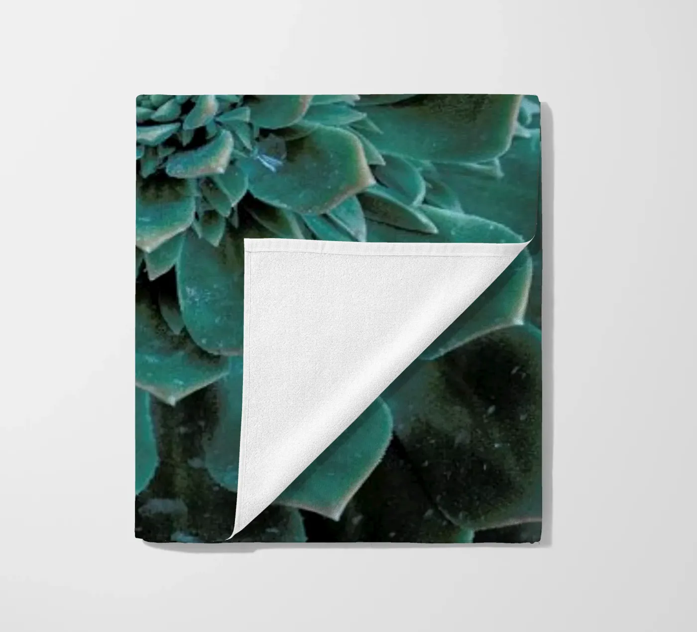 Succulent telo mare da Victoria Frost