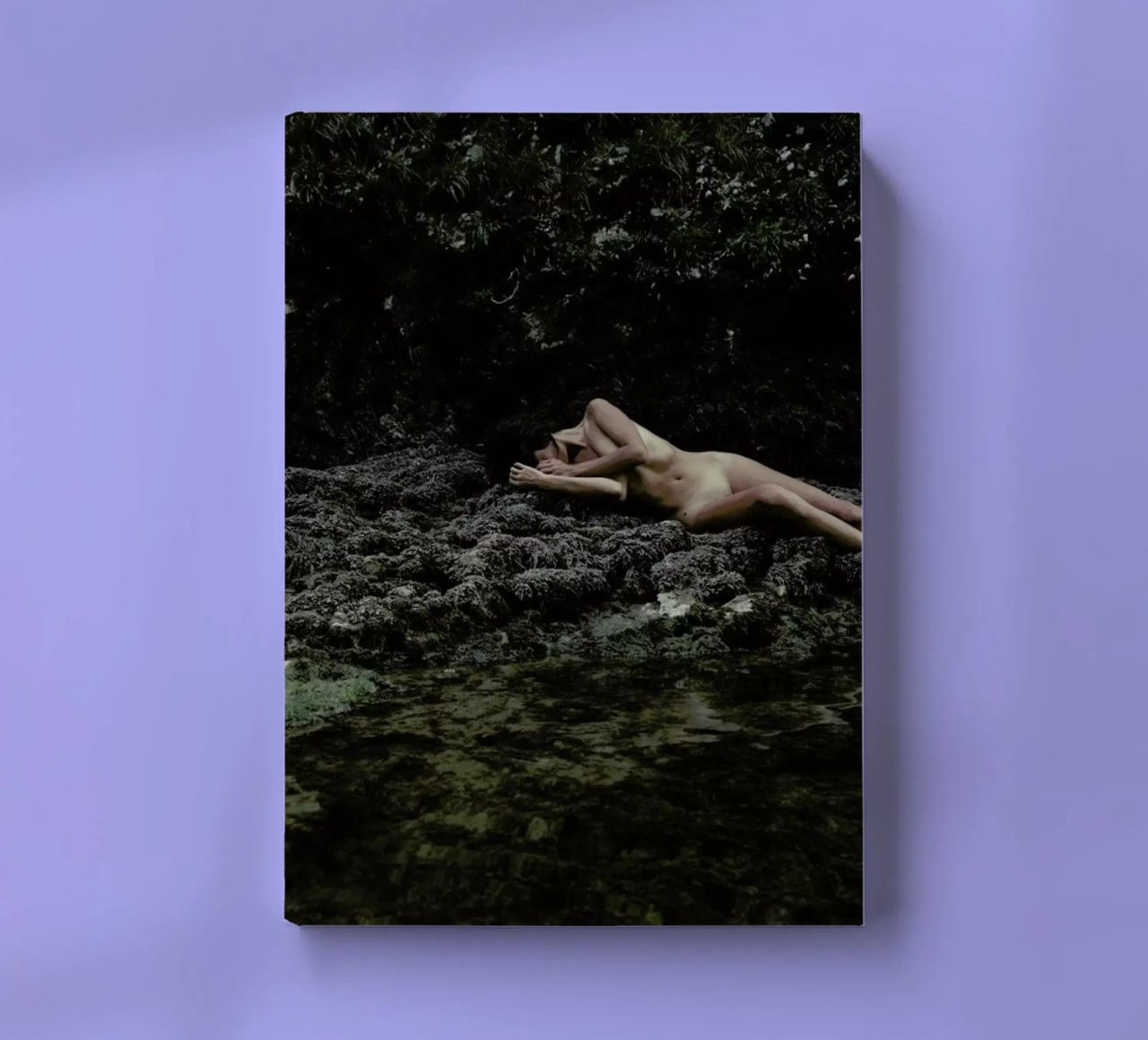 Embodiment notebook by Matevž Kosterov
