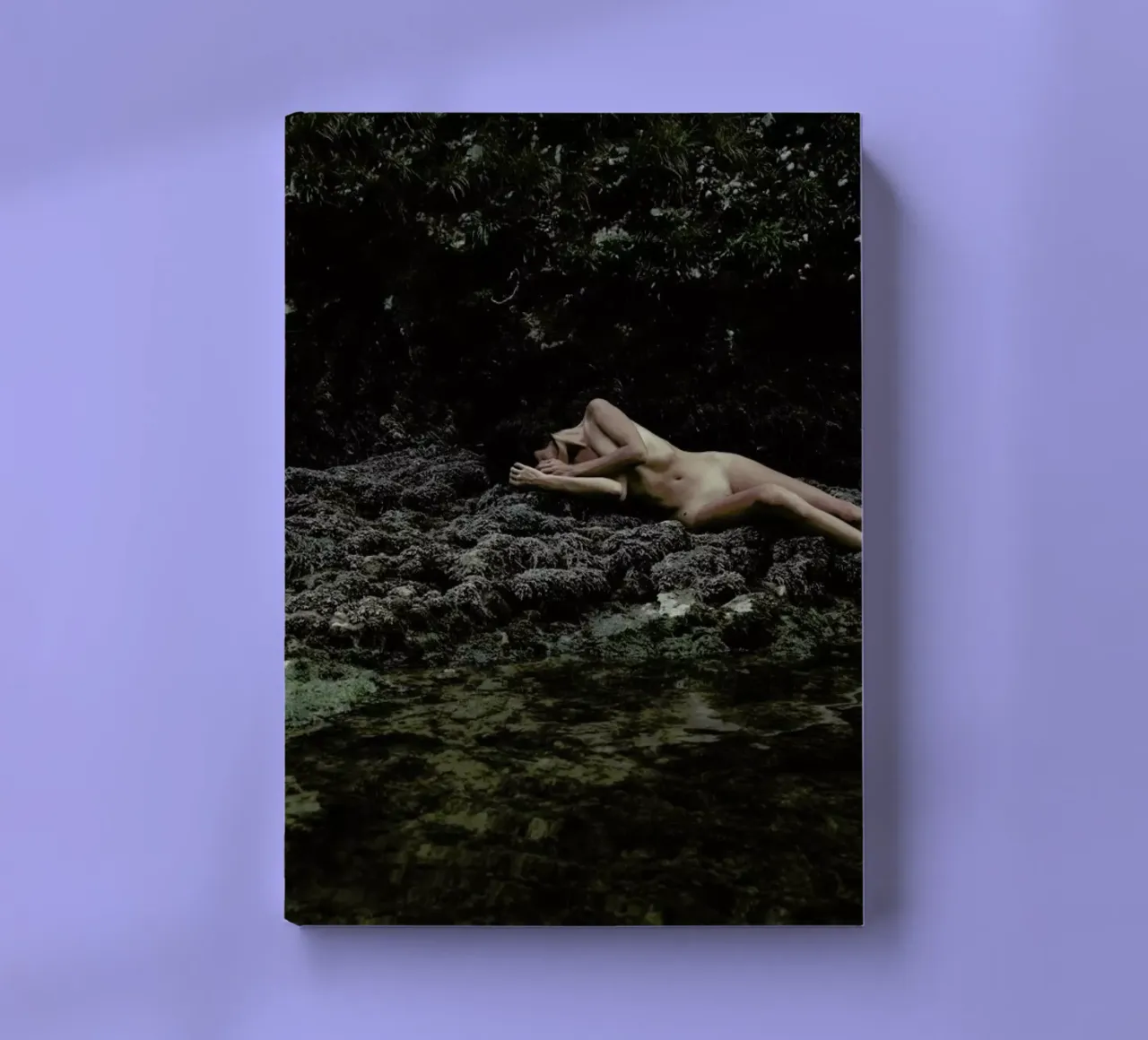 Embodiment notebook by Matevž Kosterov