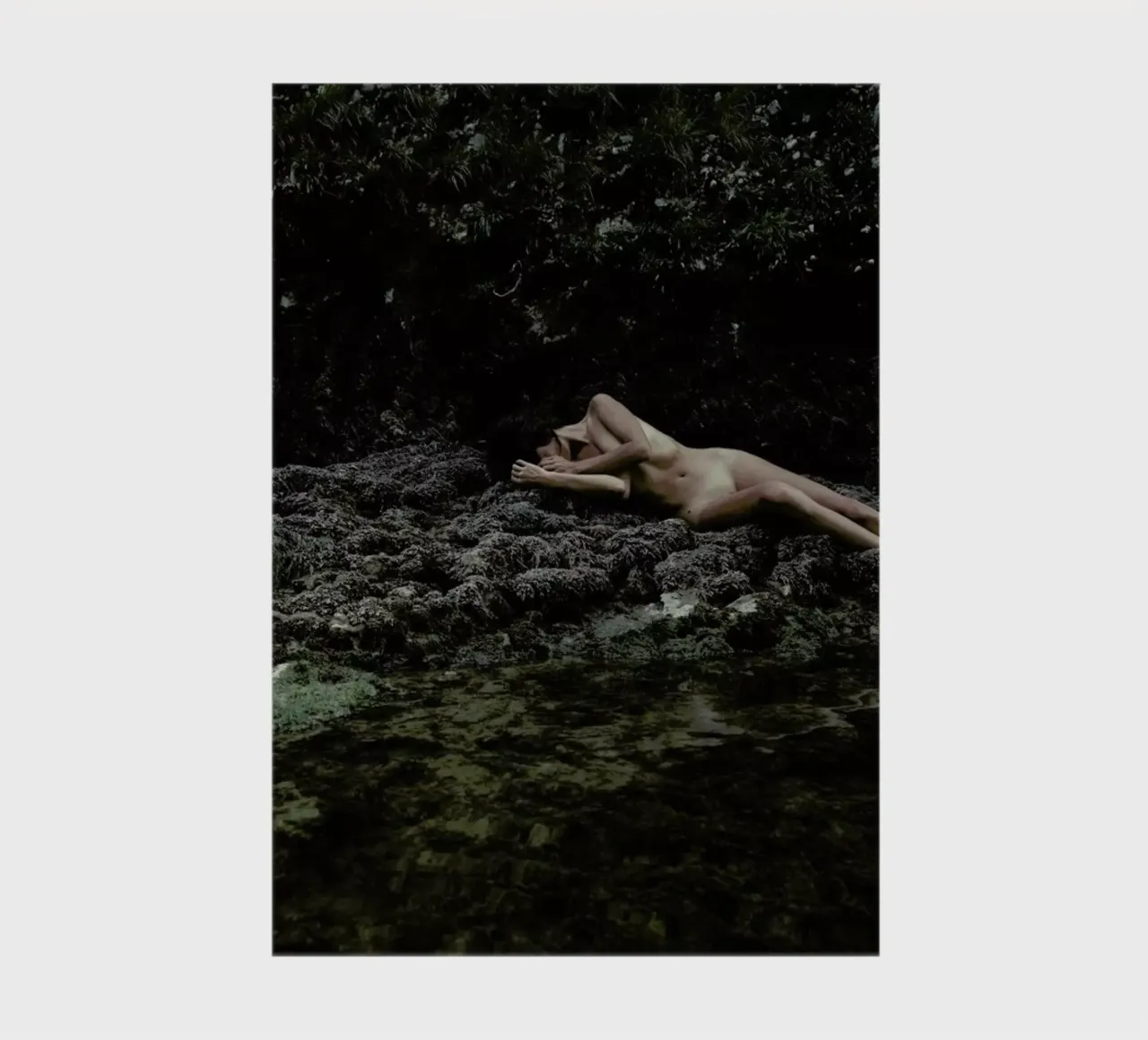 Embodiment notebook by Matevž Kosterov