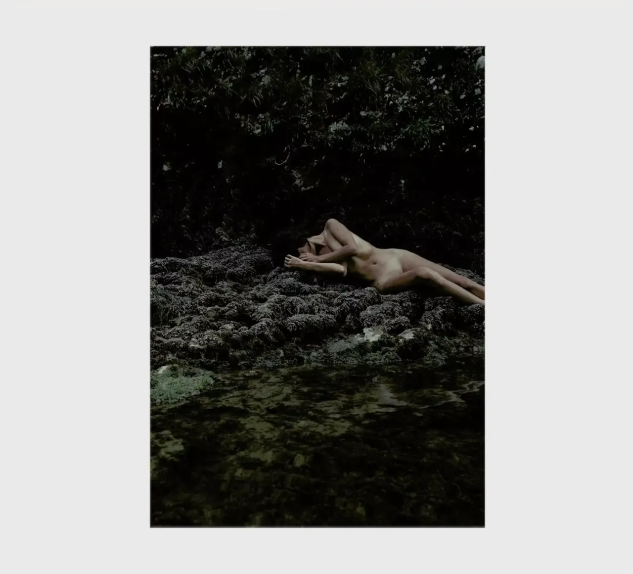 Embodiment notebook by Matevž Kosterov