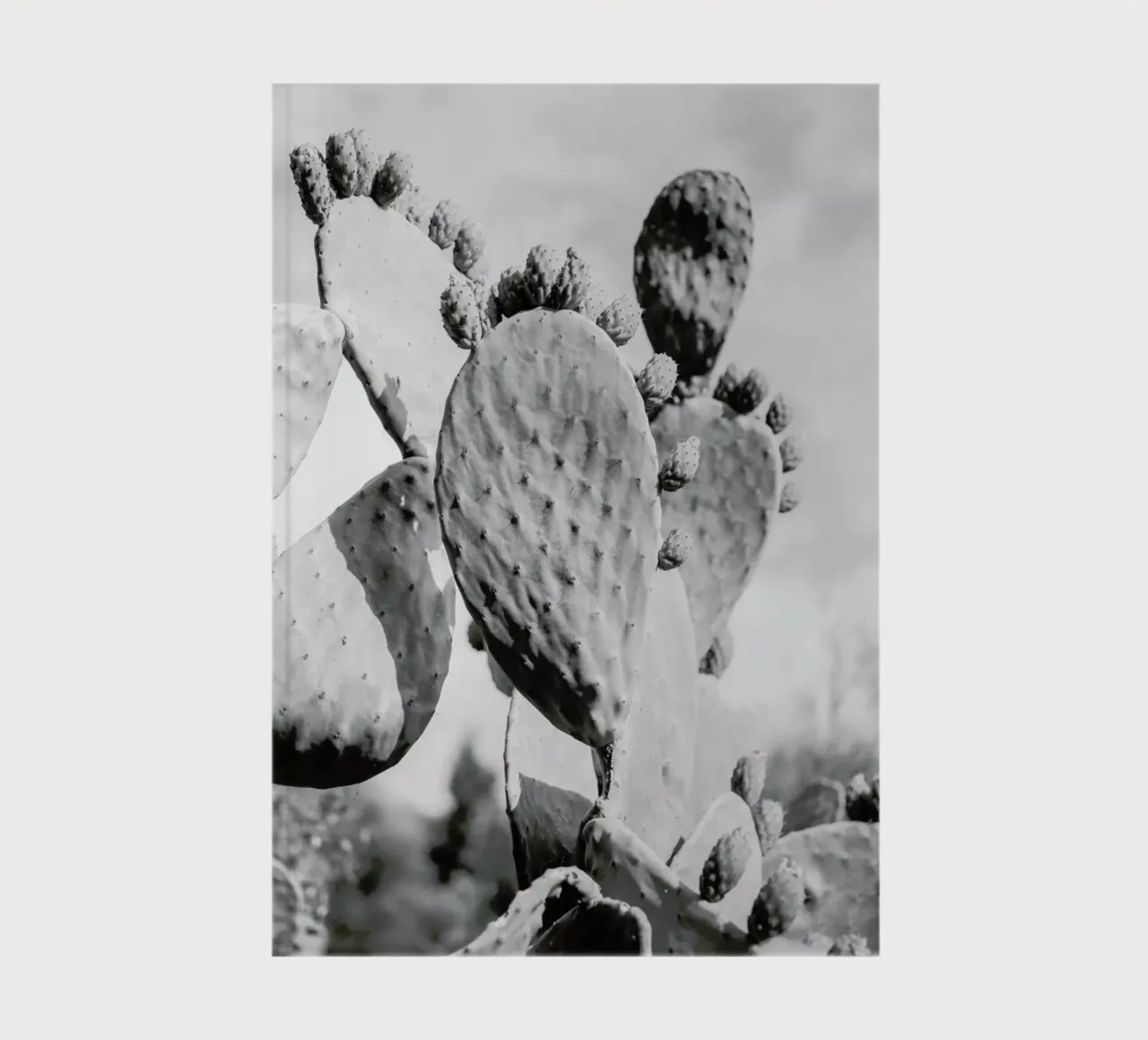 Cacti Cowboy 1 notebook by Shot By Clint