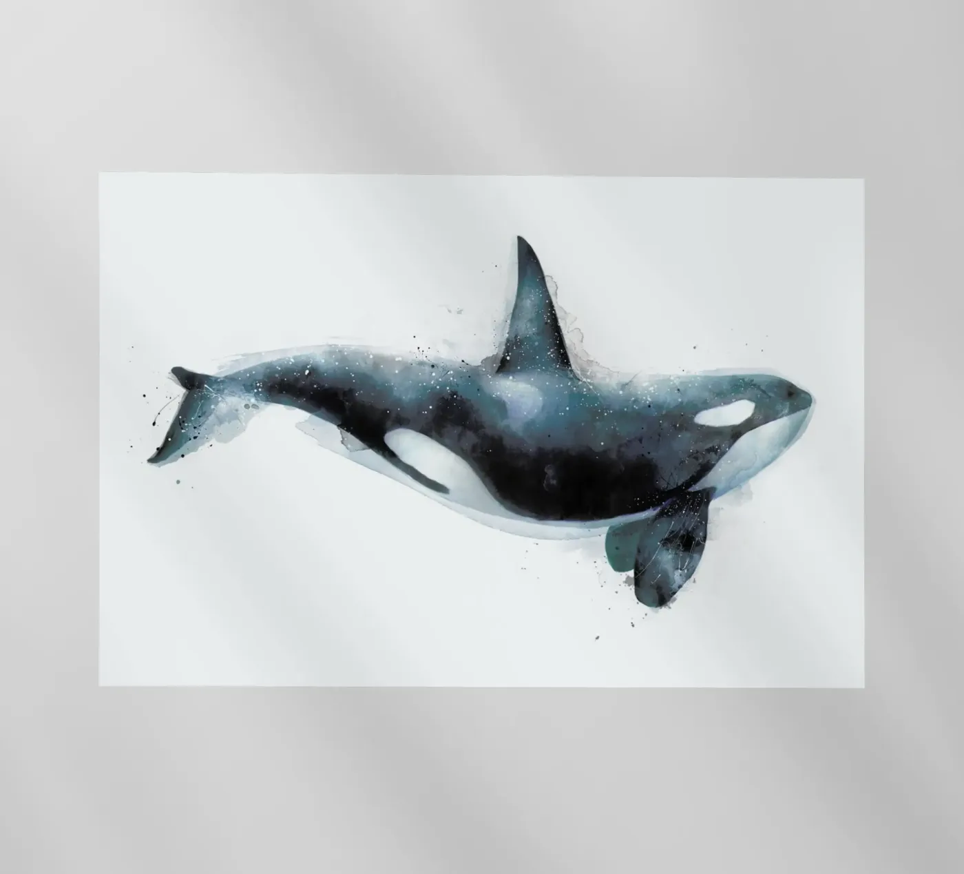 Orca pellicola backlit da Amy Hamilton