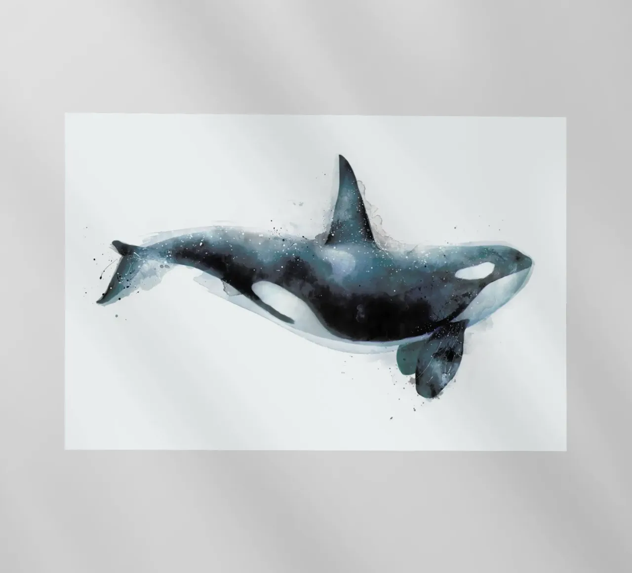 Orca pellicola backlit da Amy Hamilton