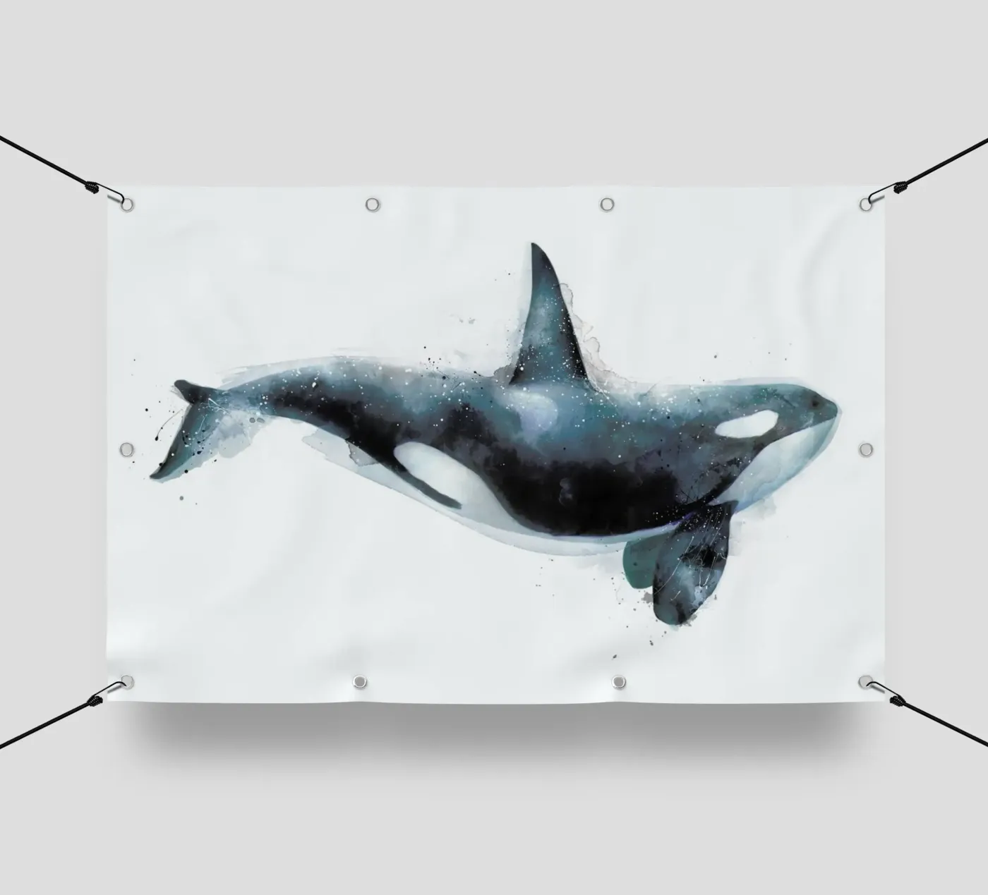 Orca telo in pvc da Amy Hamilton