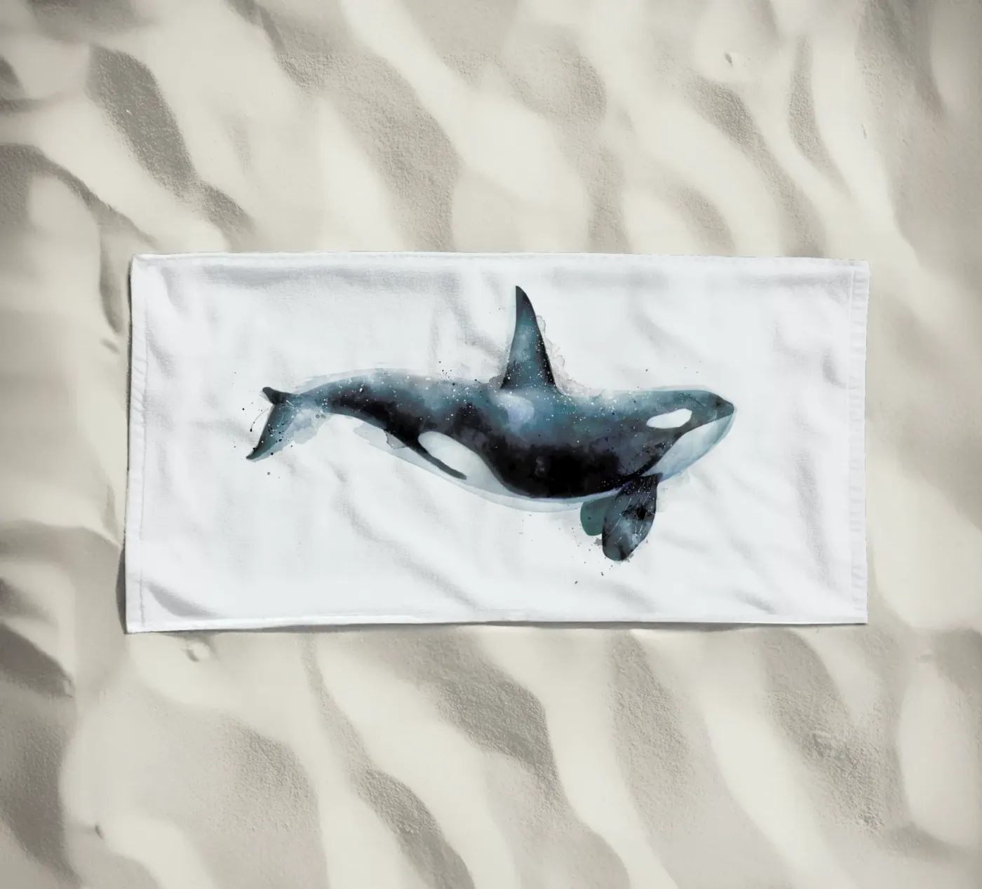 Orca telo mare da Amy Hamilton