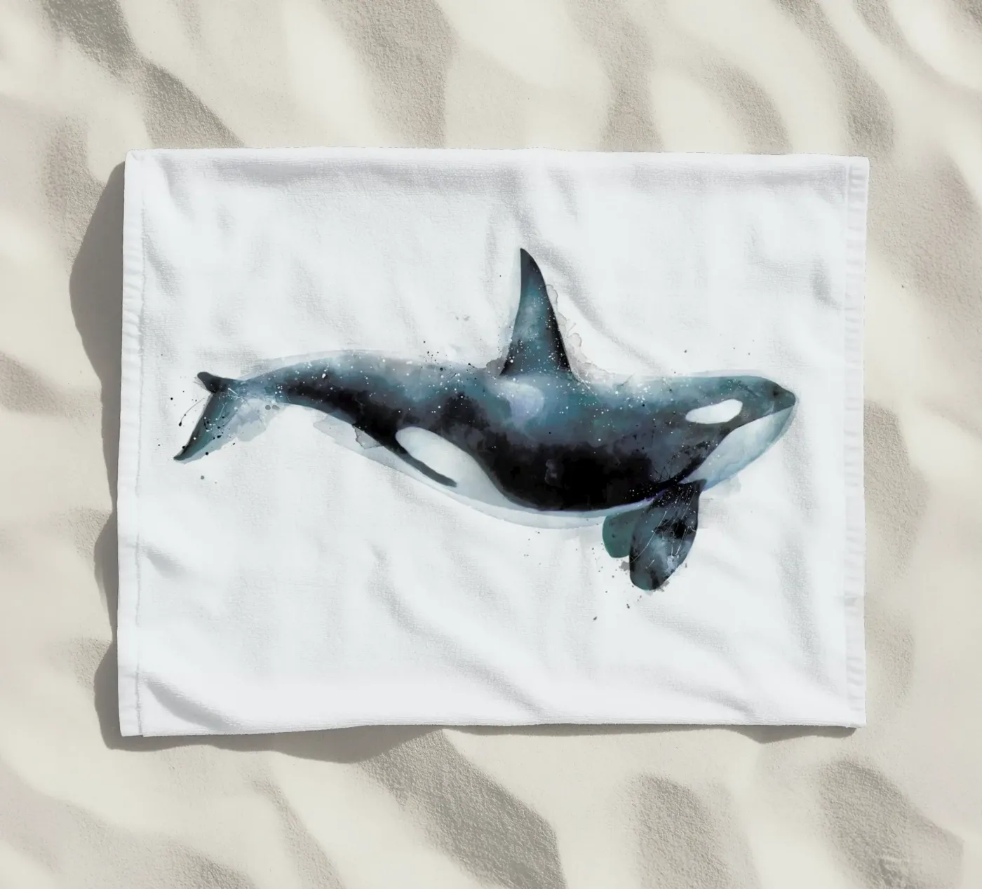 Orca telo mare da Amy Hamilton