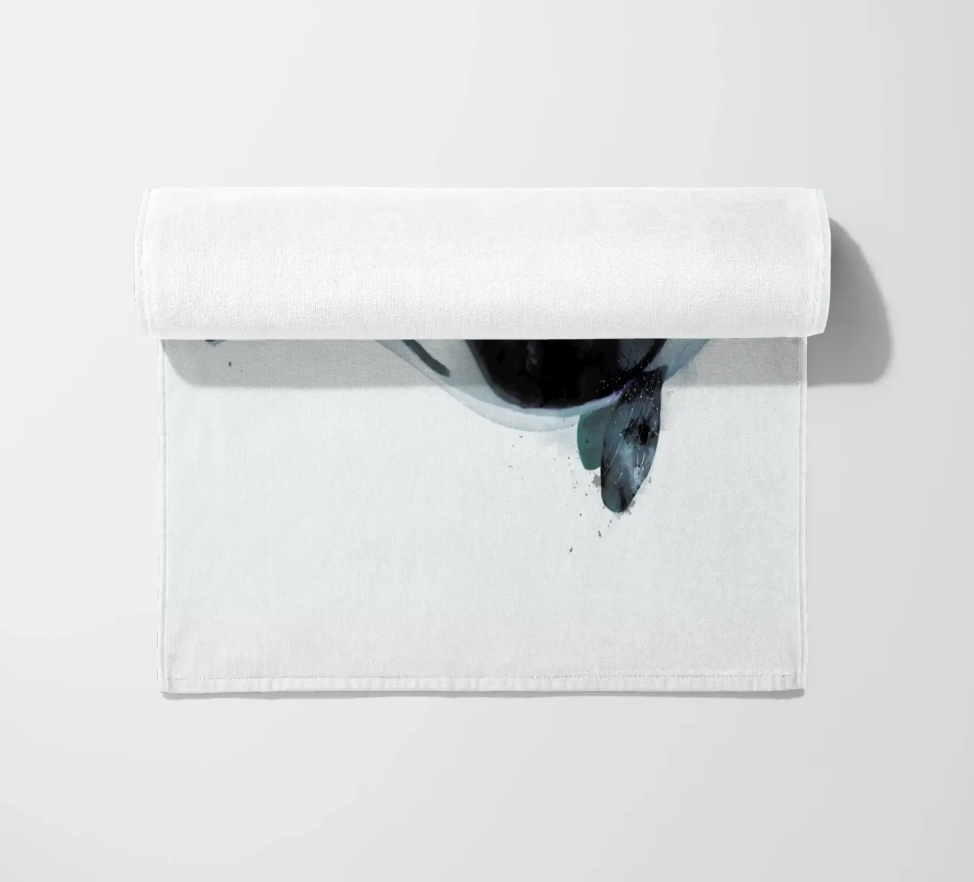 Orca telo mare da Amy Hamilton