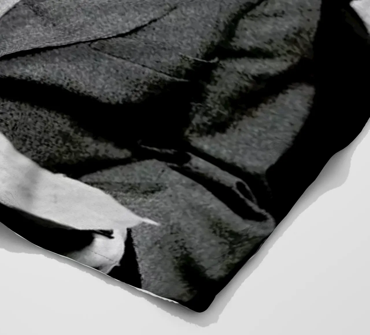 Albert Einstein coperta in pile da Gallery Print and Art Limited