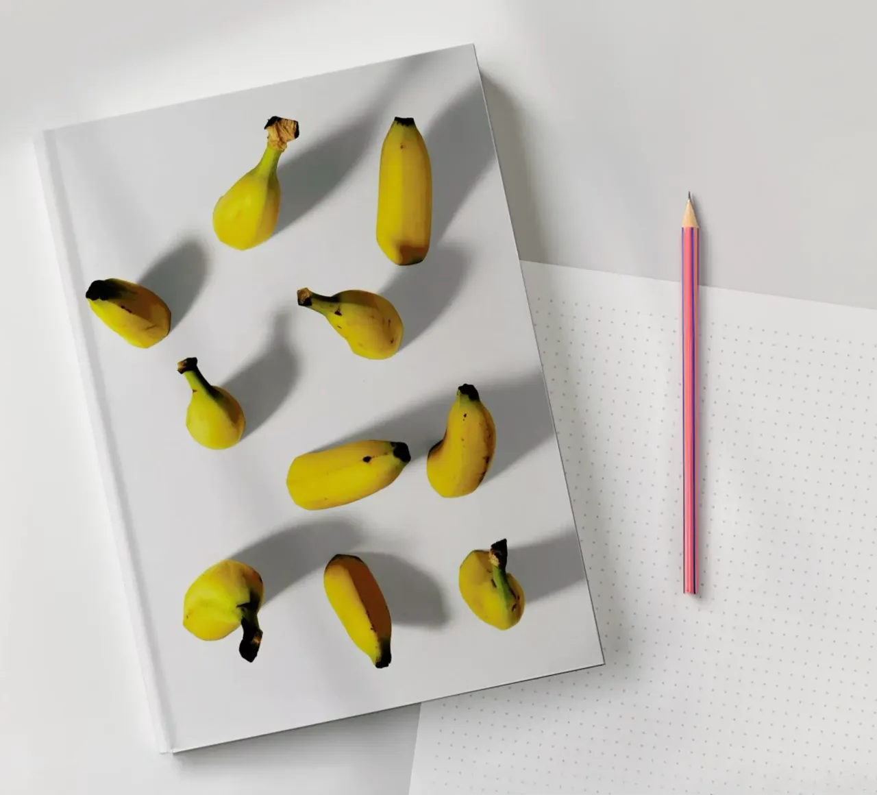 Bananas notebook by Lemon-apes