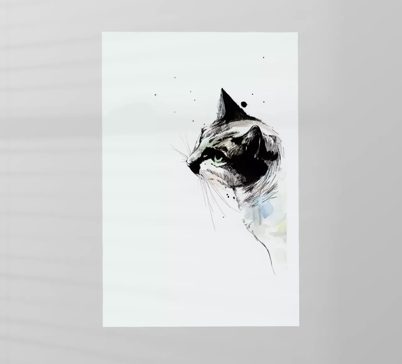 Kimo pellicola backlit da WALLstories