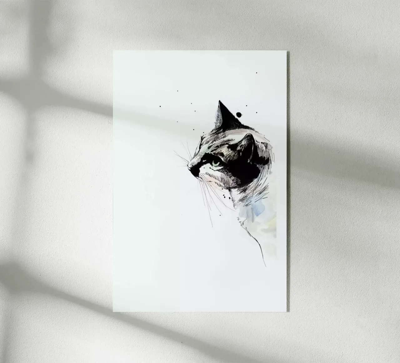 Kimo plexiglass da WALLstories