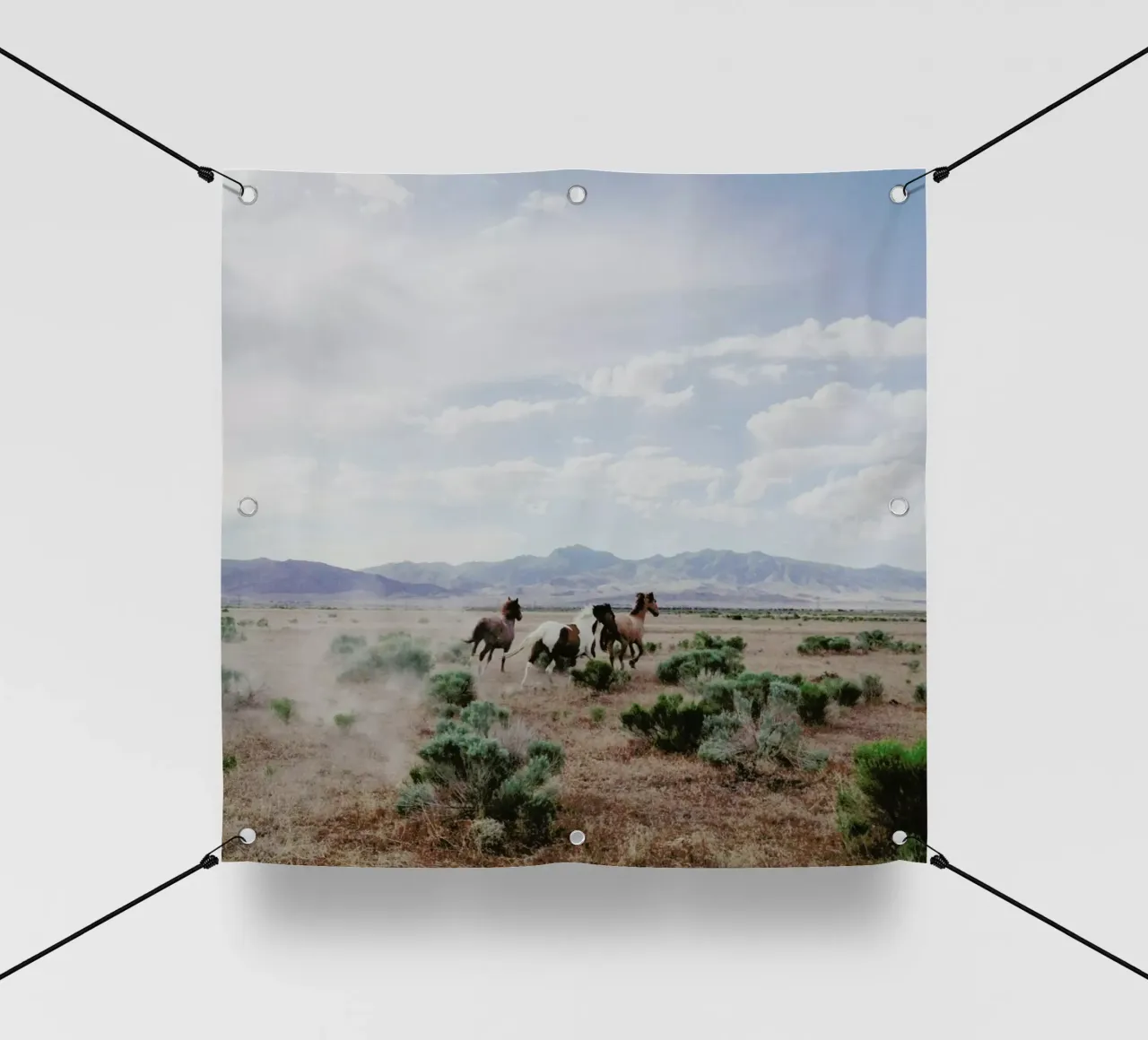 Running Horses telo in pvc da Kevin Russ