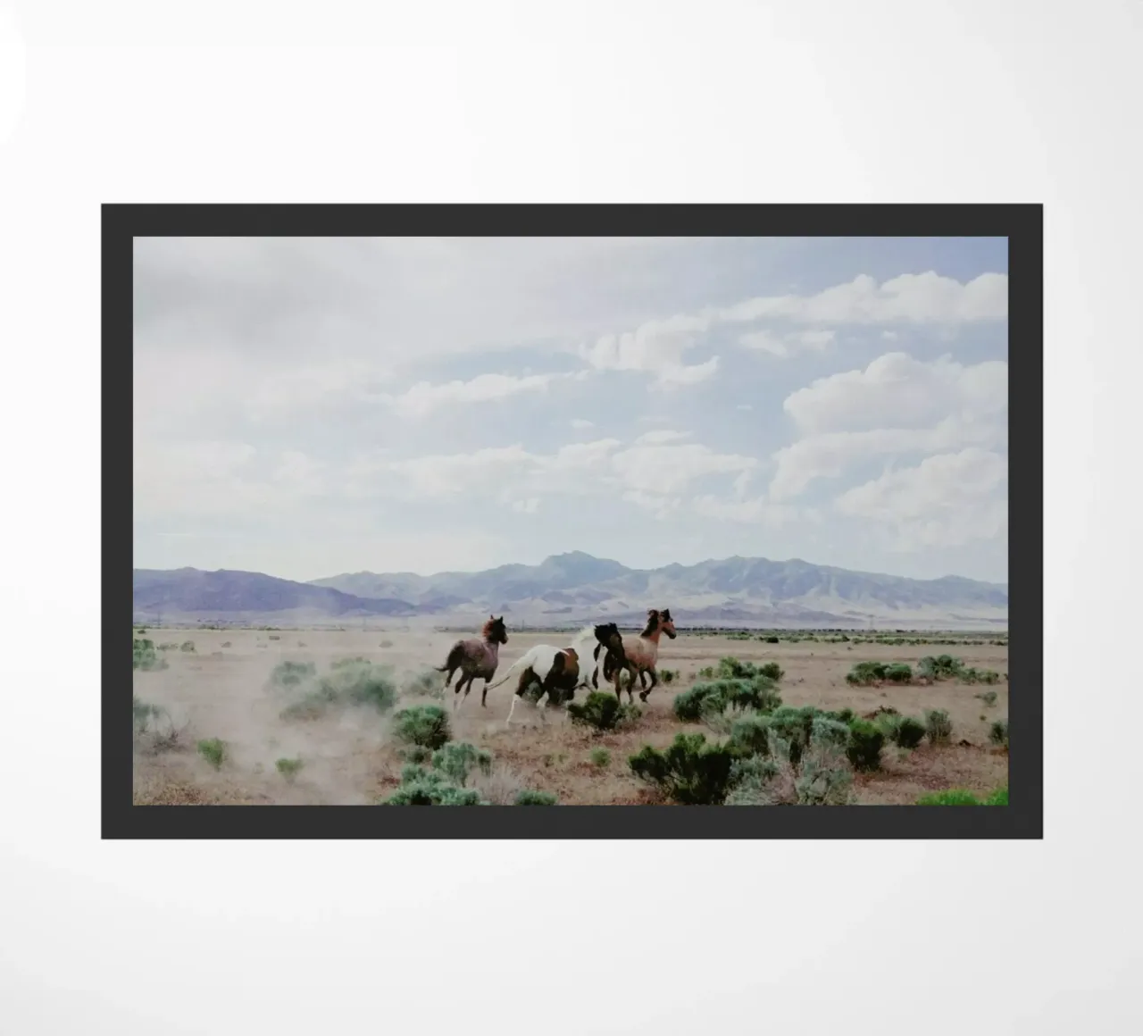 Running Horses zerbino da Kevin Russ