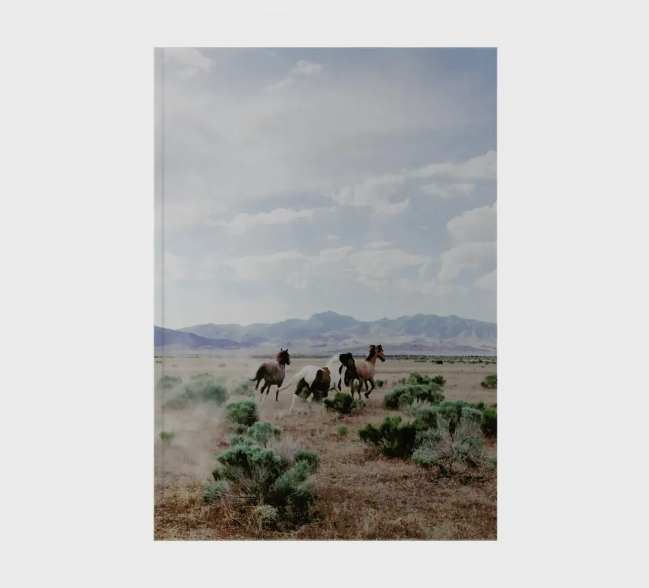 Running Horses notebook by Kevin Russ