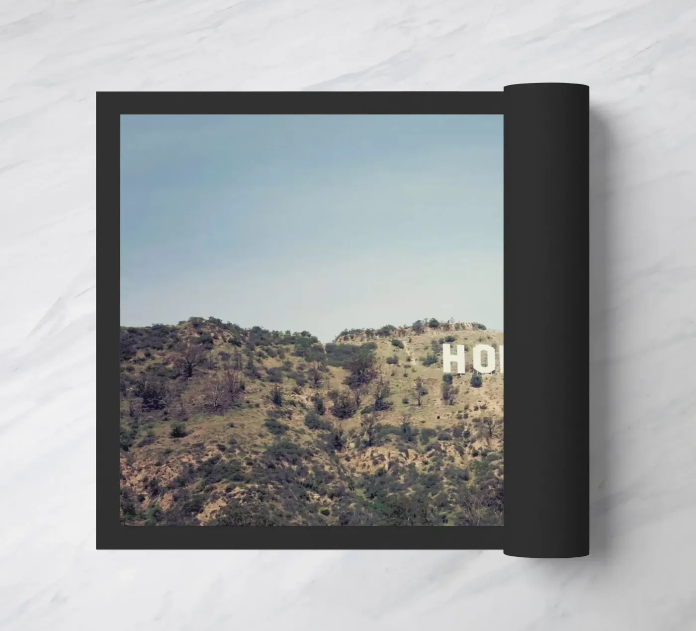 Hollywood zerbino da Catherine McDonald