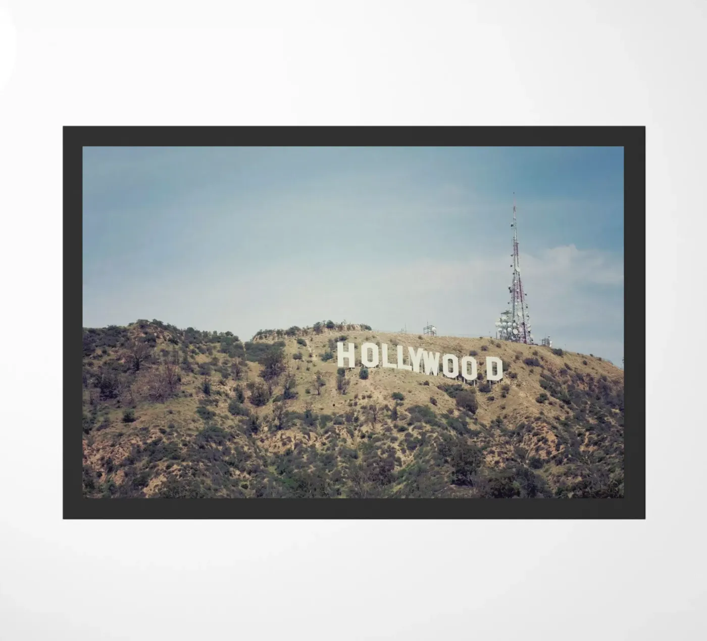 Hollywood zerbino da Catherine McDonald