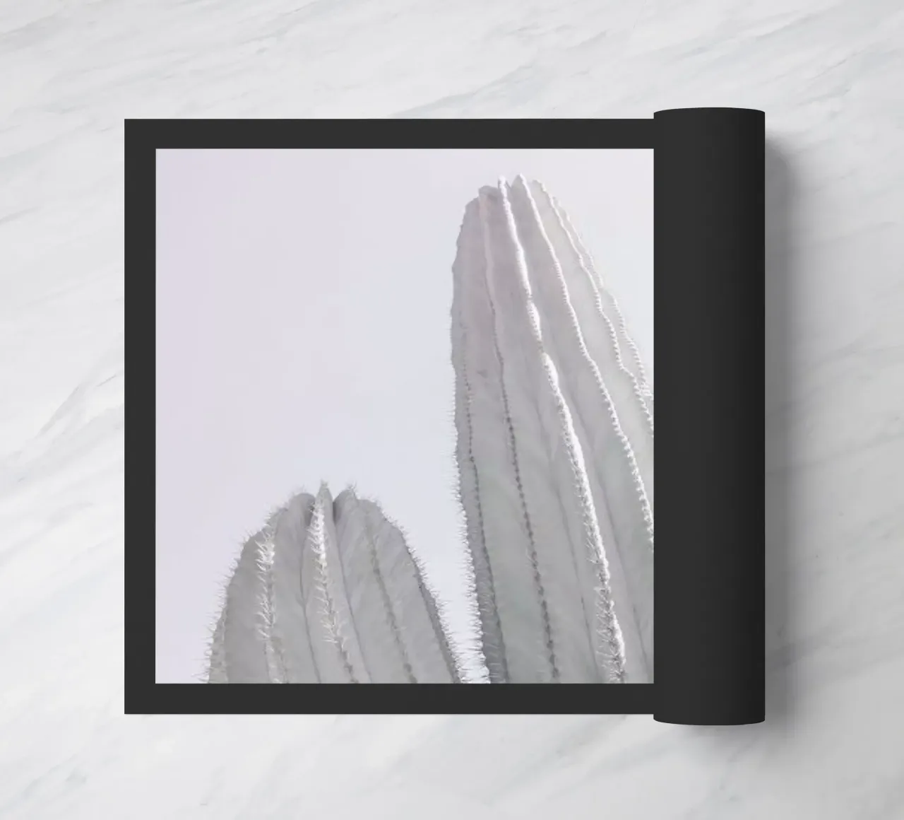 Saguaro zerbino da Shot By Clint