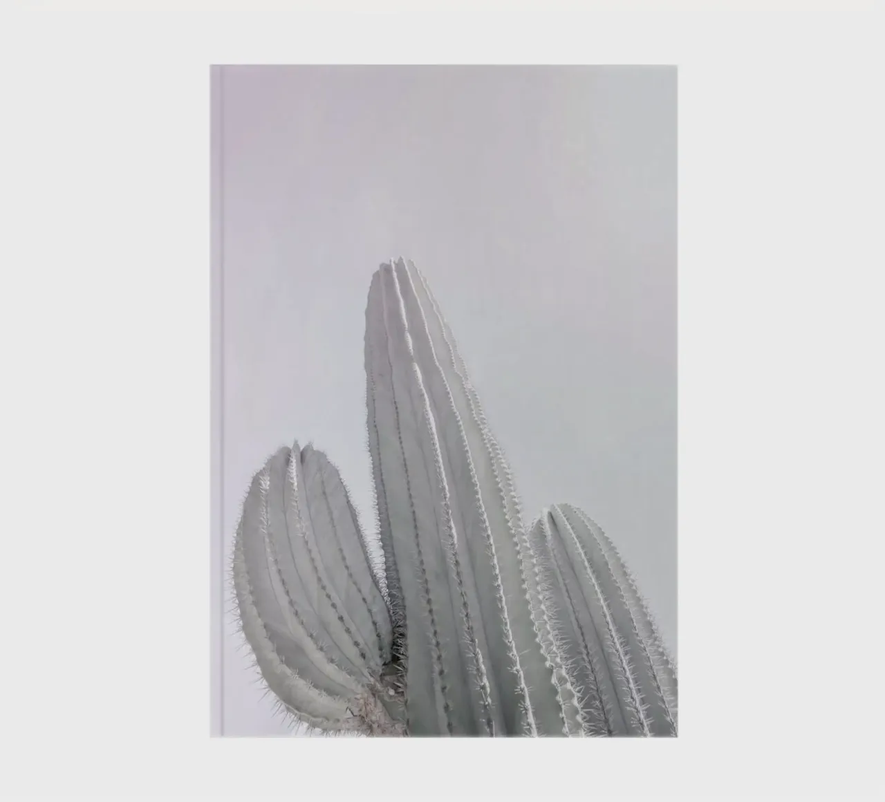 Saguaro notebook by Shot By Clint