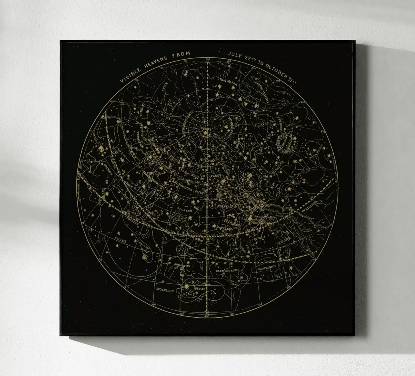 Visible Heavens Dark plexiglass da Astër