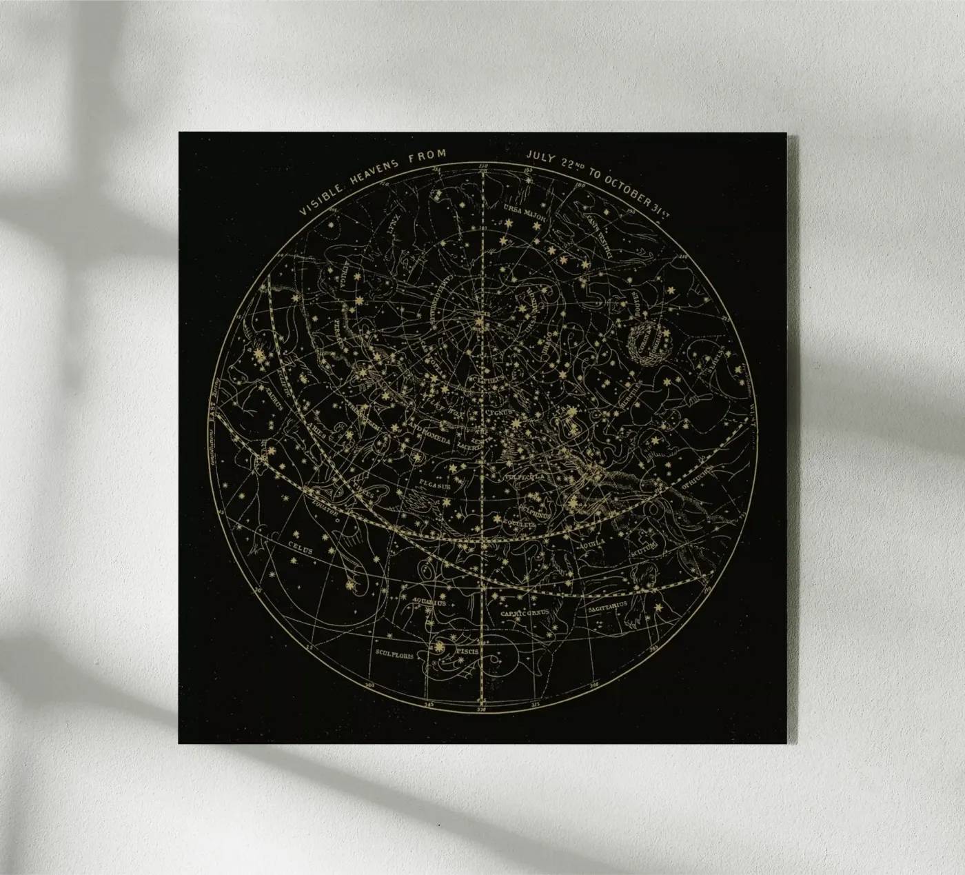 Visible Heavens Dark plexiglass da Astër