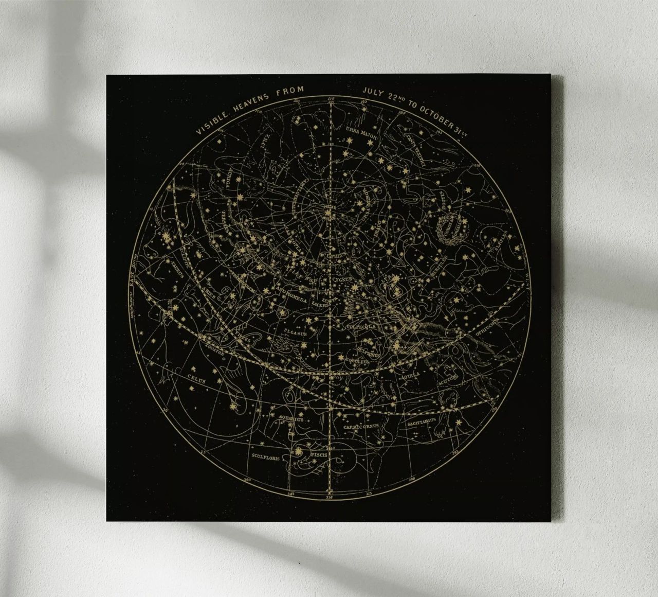 Visible Heavens Dark toile de Astër