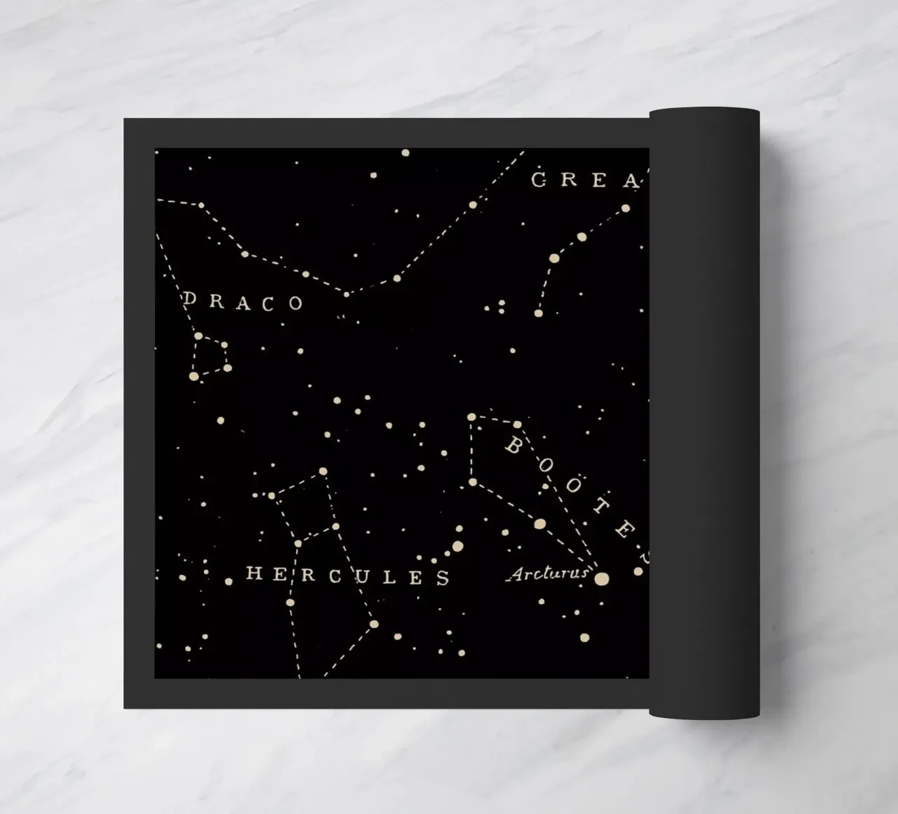 Constellation I zerbino da Astër