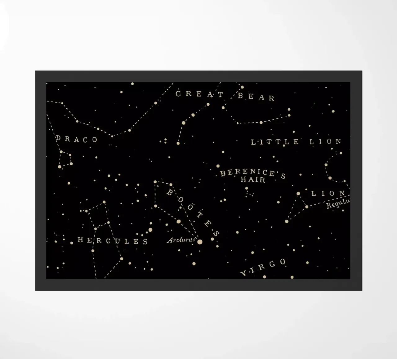 Constellation I zerbino da Astër