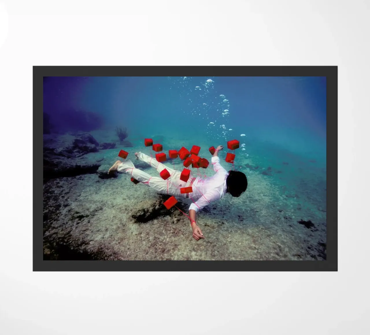 Red Squares zerbino da James Cooper