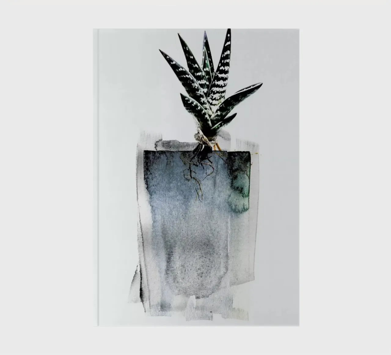 Aloe notebook by Shot By Clint