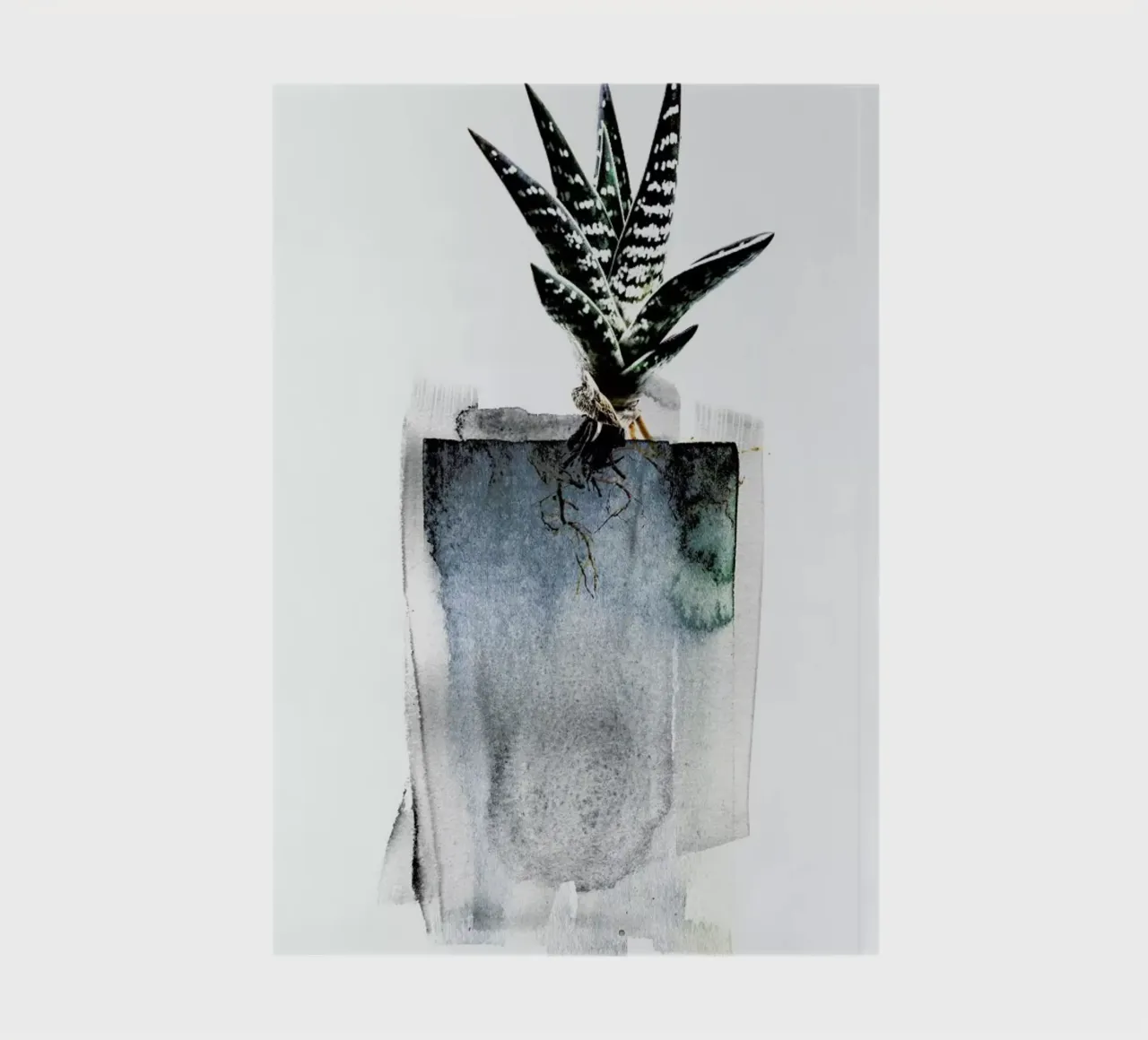 Aloe notebook by Shot By Clint