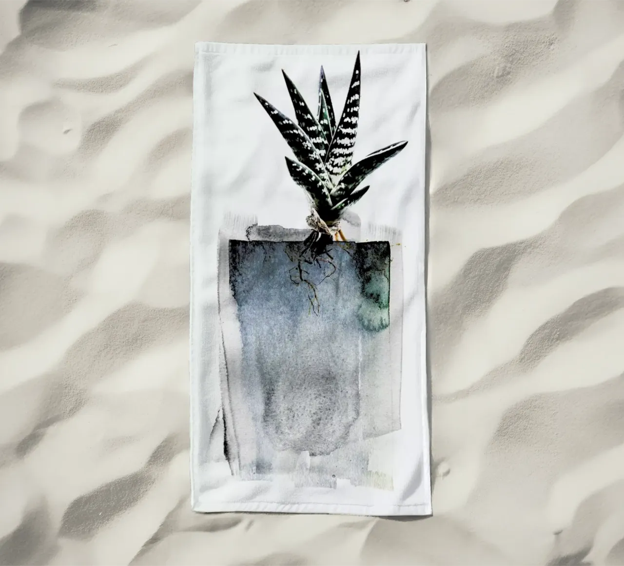 Aloe telo mare da Shot By Clint