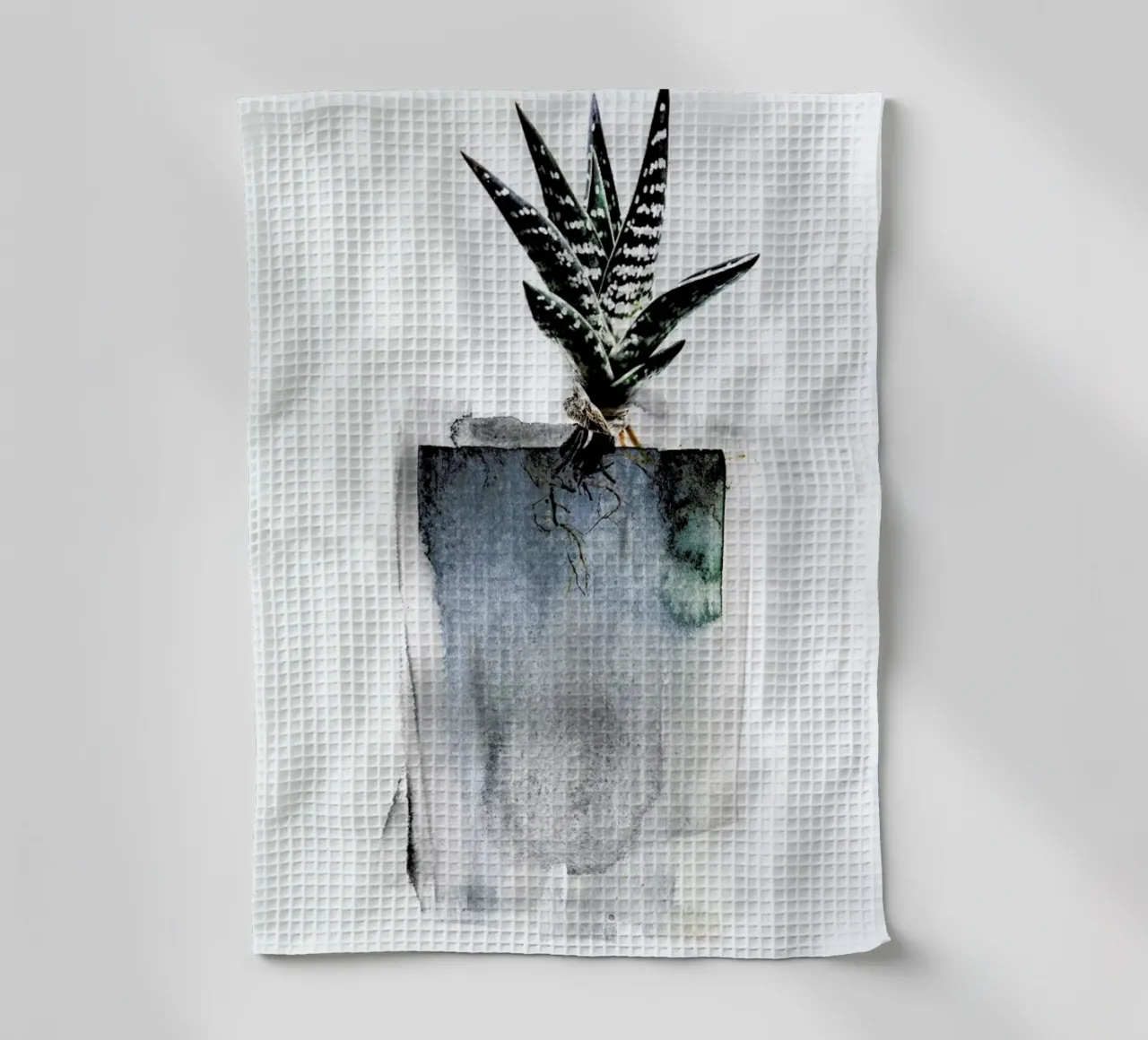 Aloe canovaccio da cucina da Shot By Clint
