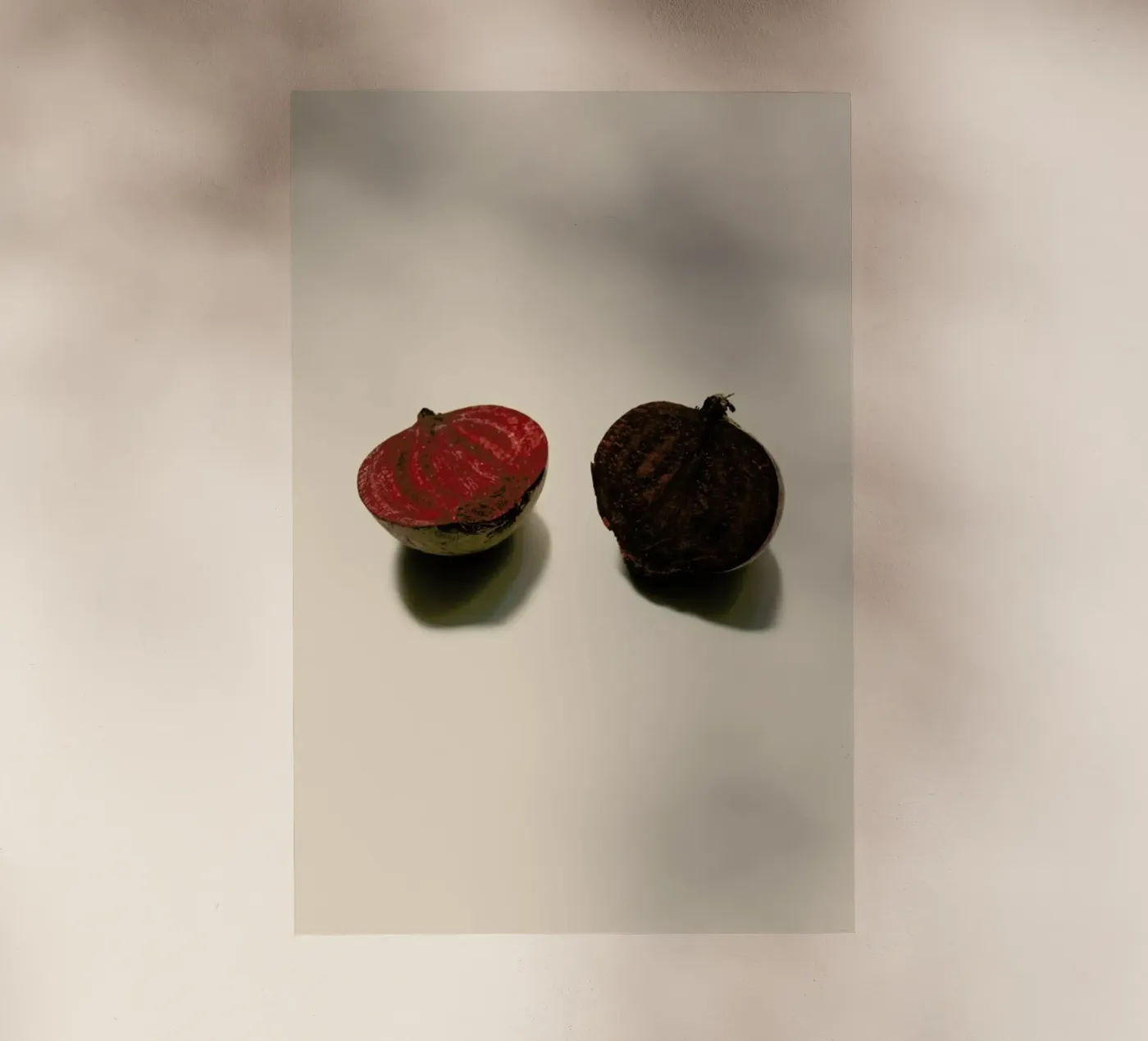 Red Beetroots pellicola backlit da Elena Veronese