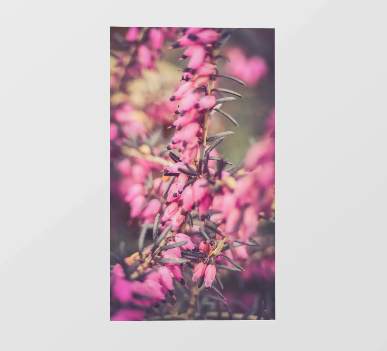 Macro Flower telo in pvc da Flo Klein