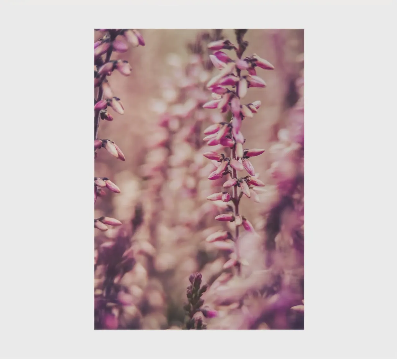 Macro Flower notebook by Flo Klein