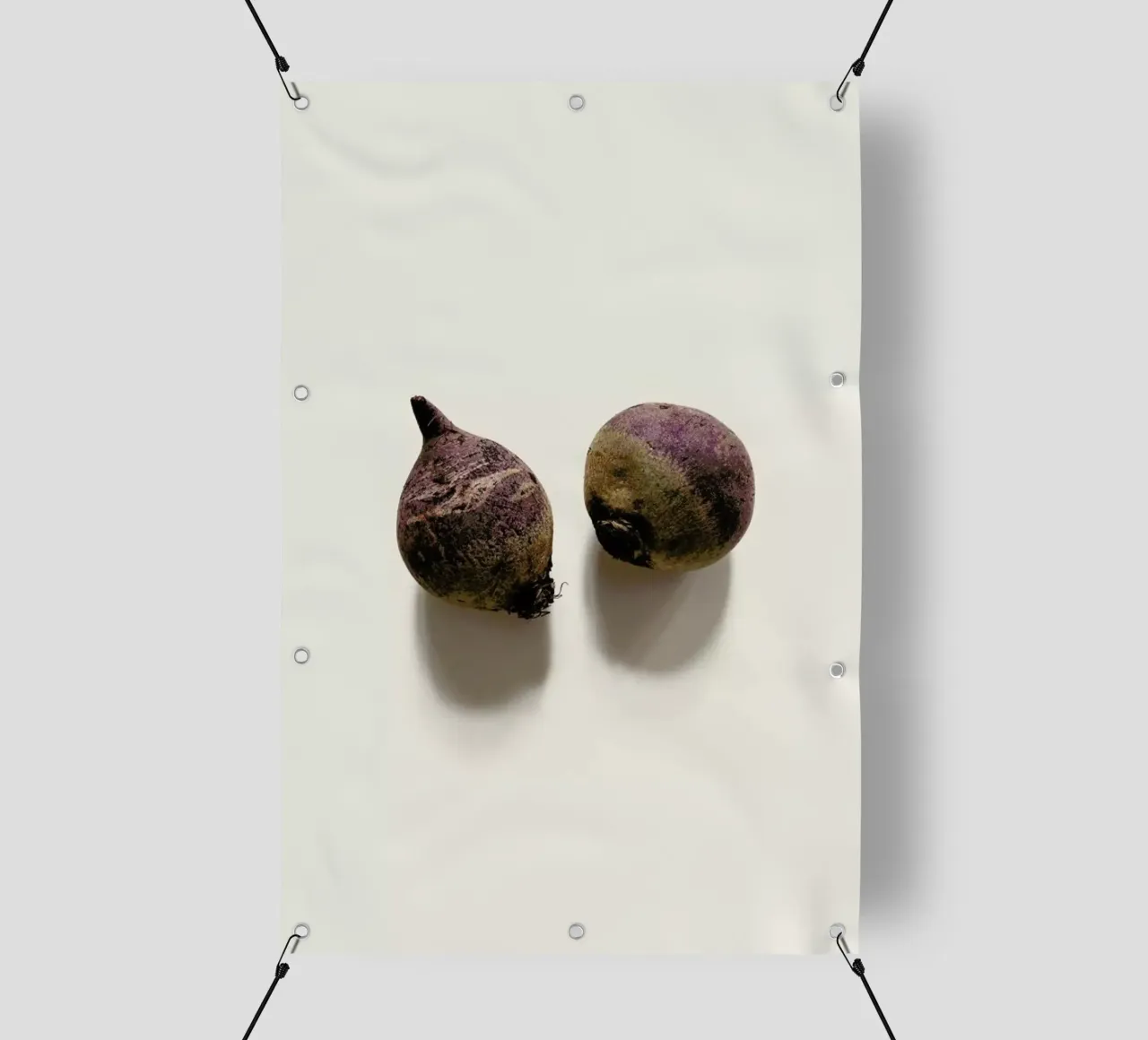 Beetroots telo in pvc da Elena Veronese