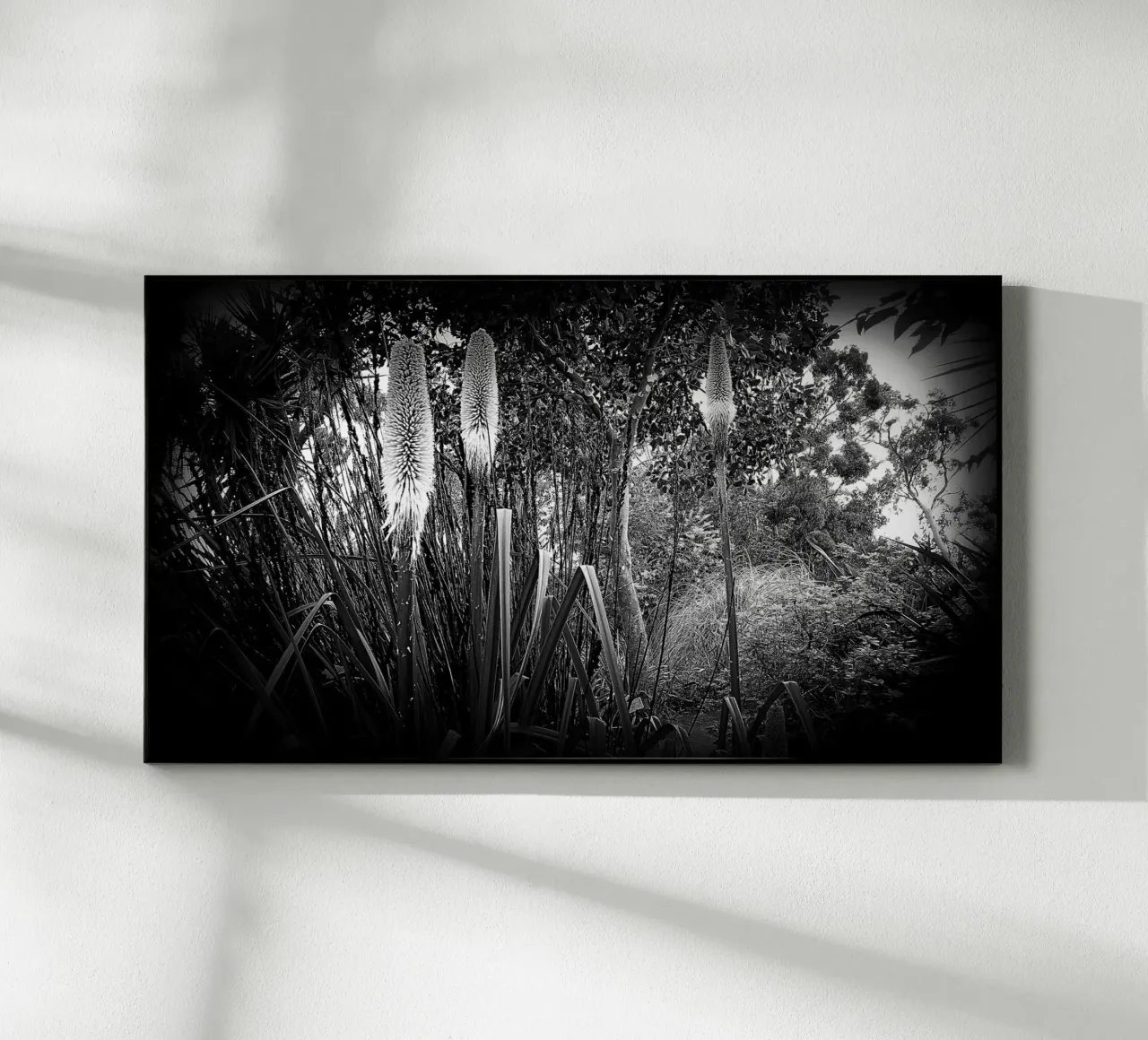 BW24 plexiglass da Thierry vobmann photography